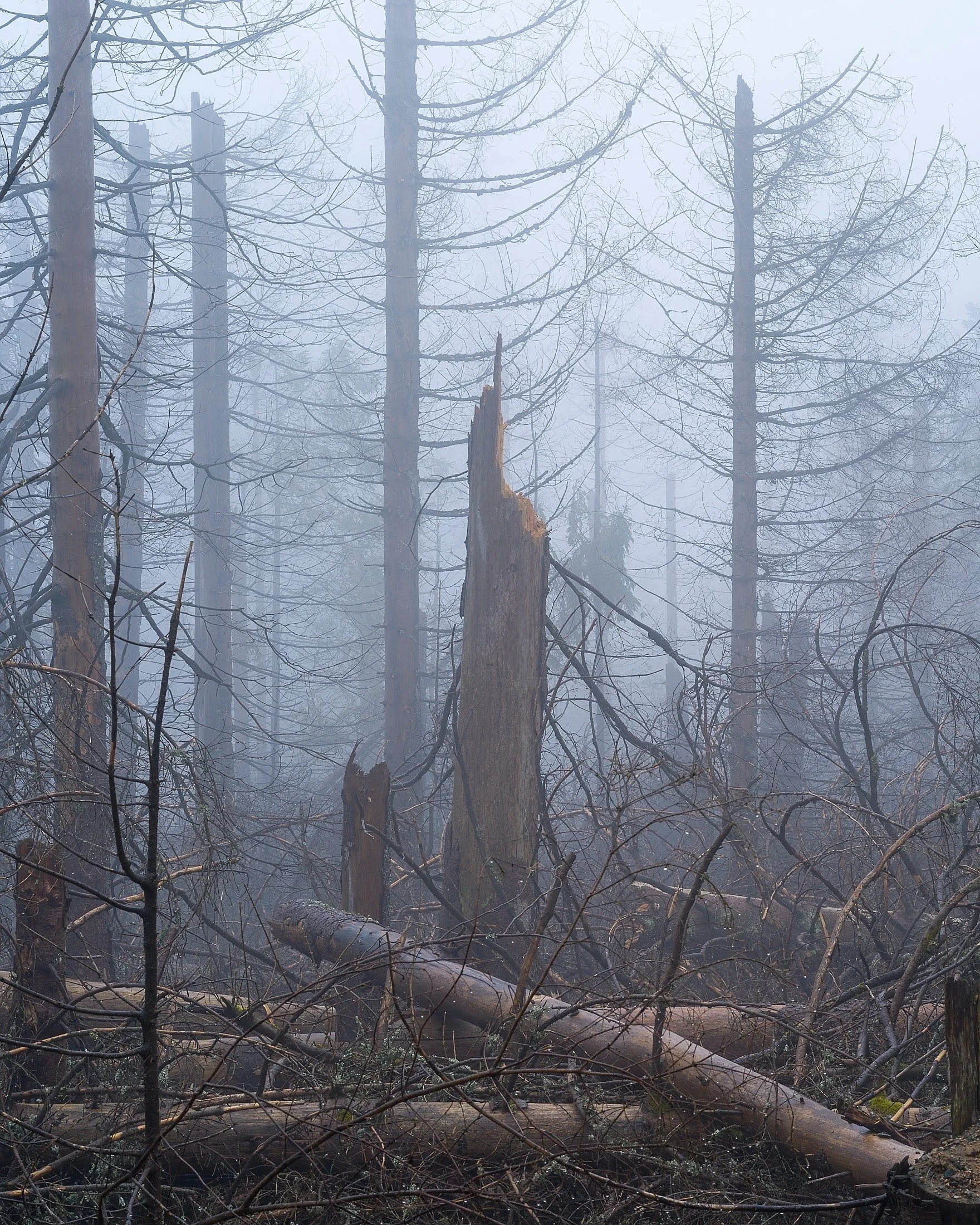 ots-photographie-harz-04-2023-018.jpg