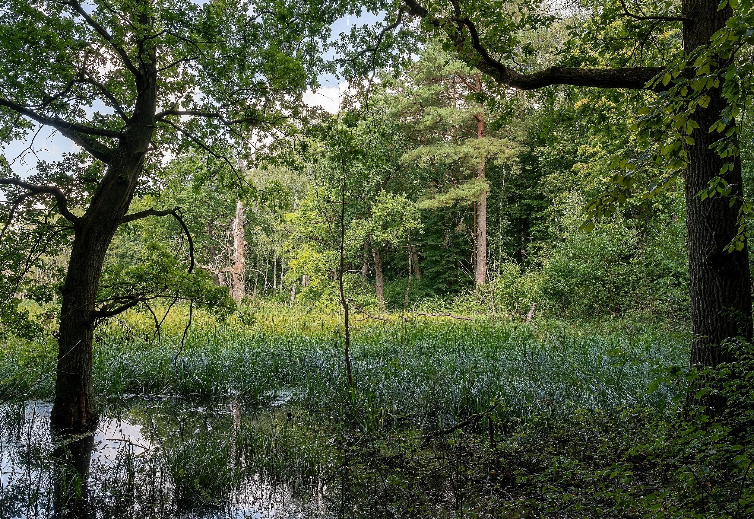 OTS-Feldberger-Seenplatte-017.jpg
