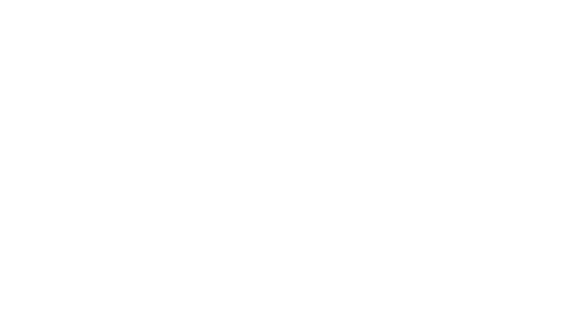sarahschnee