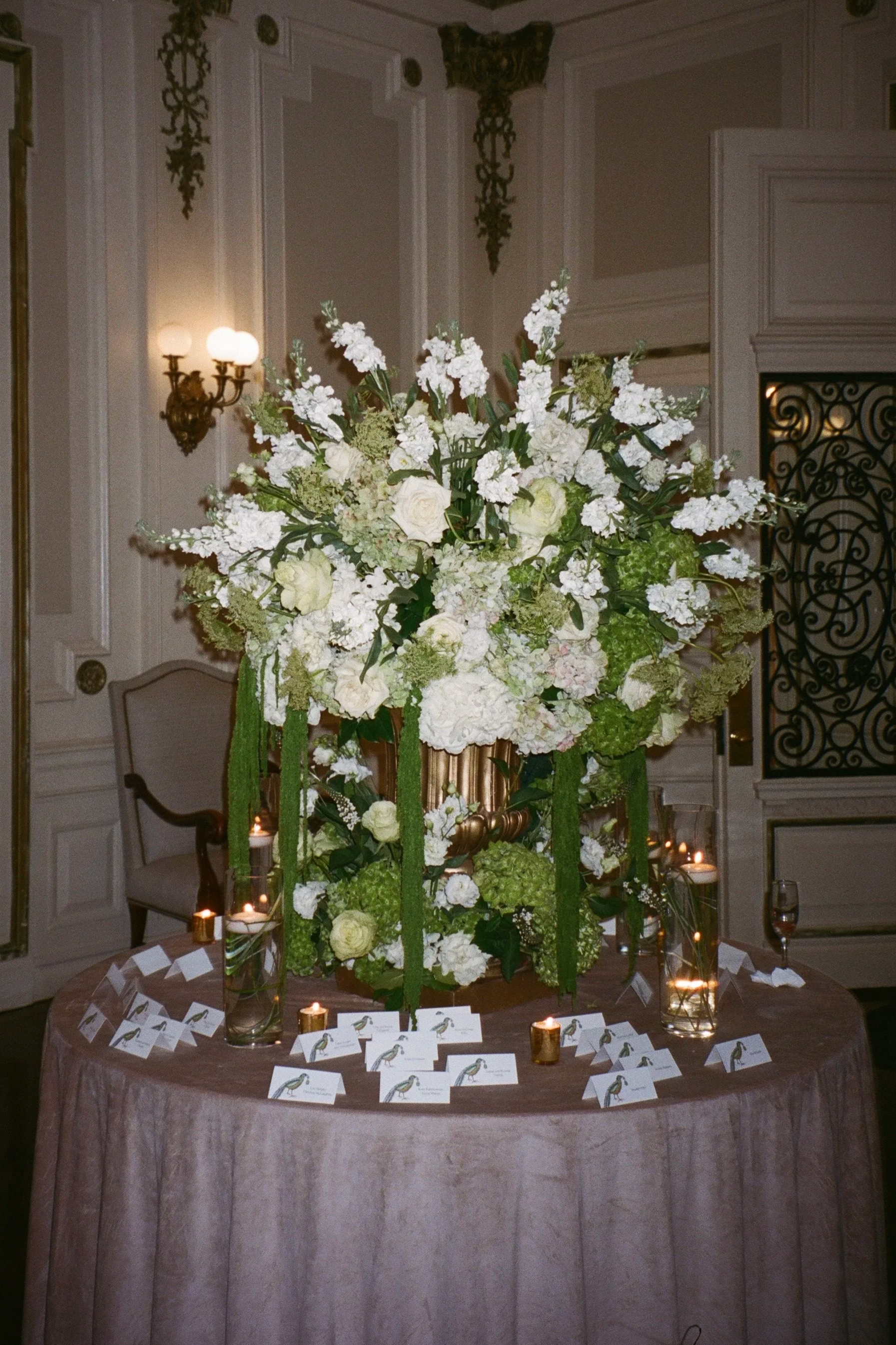 IMG_4817.png
