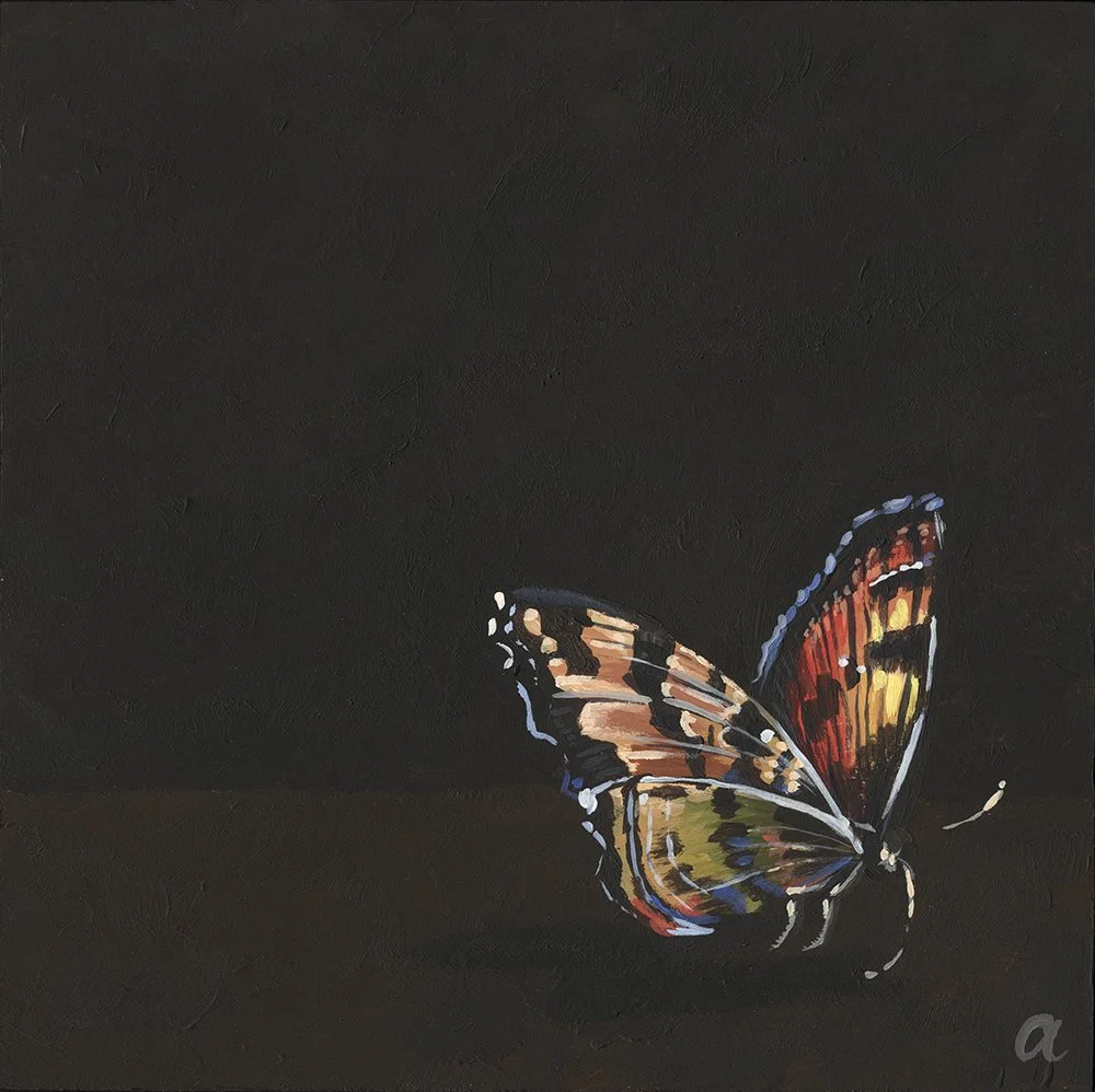 butterfly II