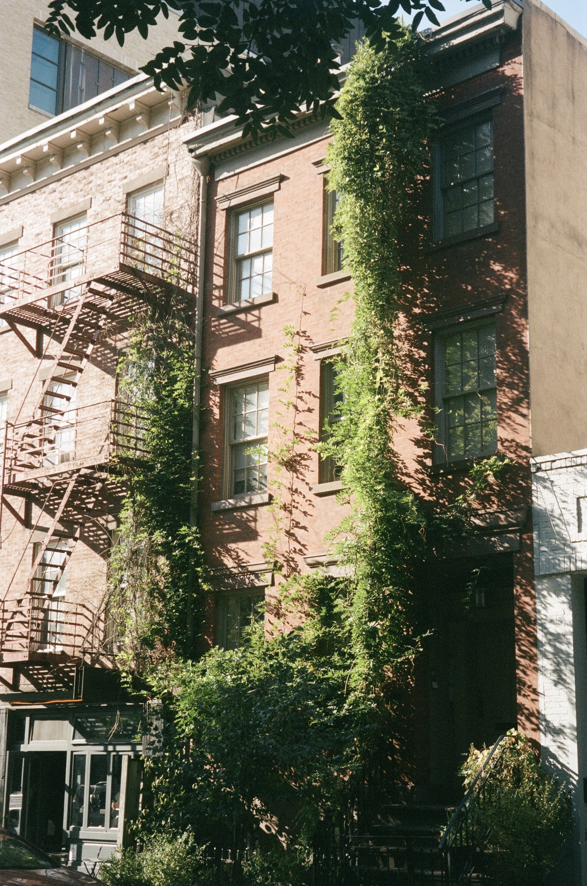 film photography - new york