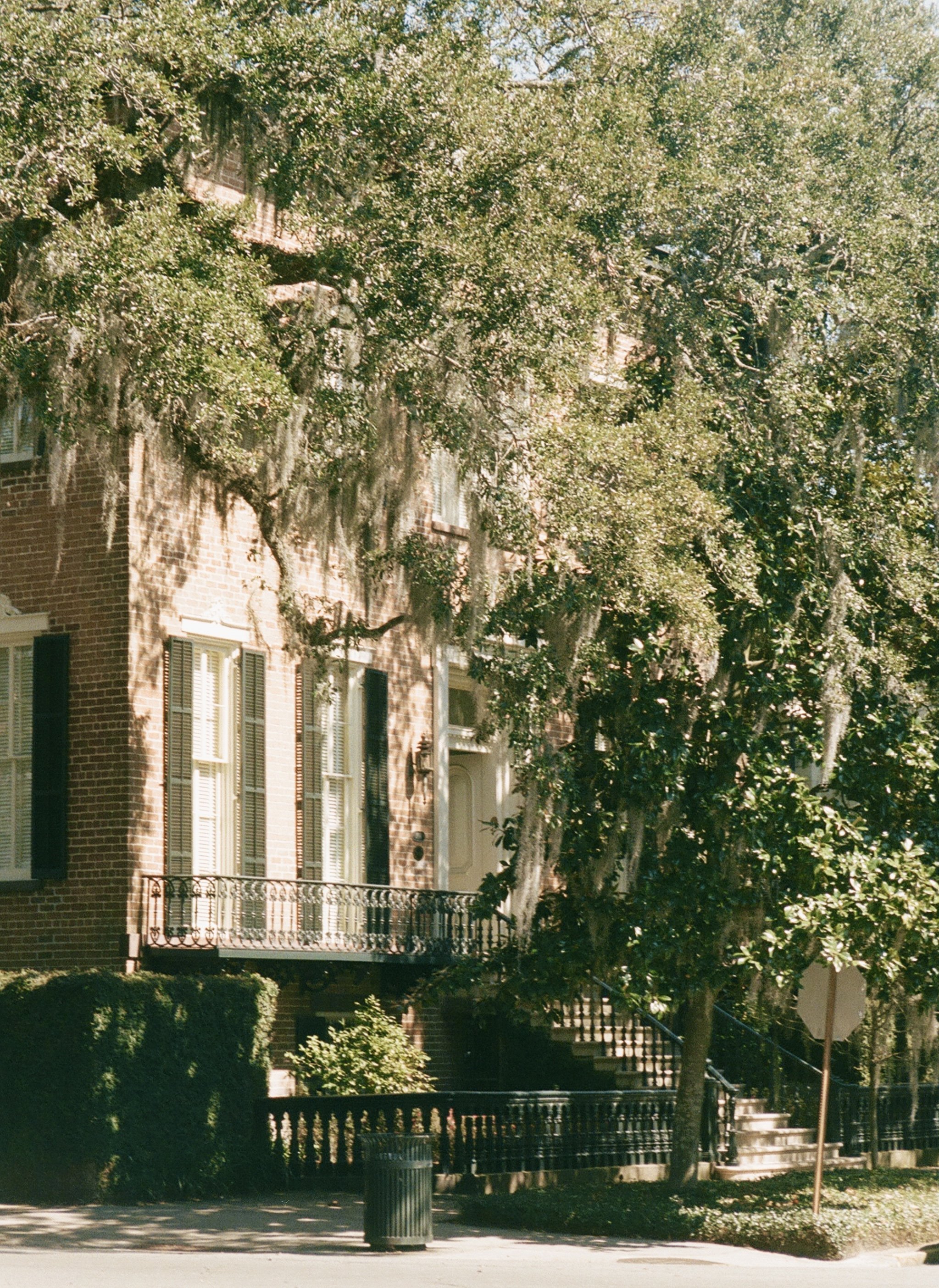 savannah