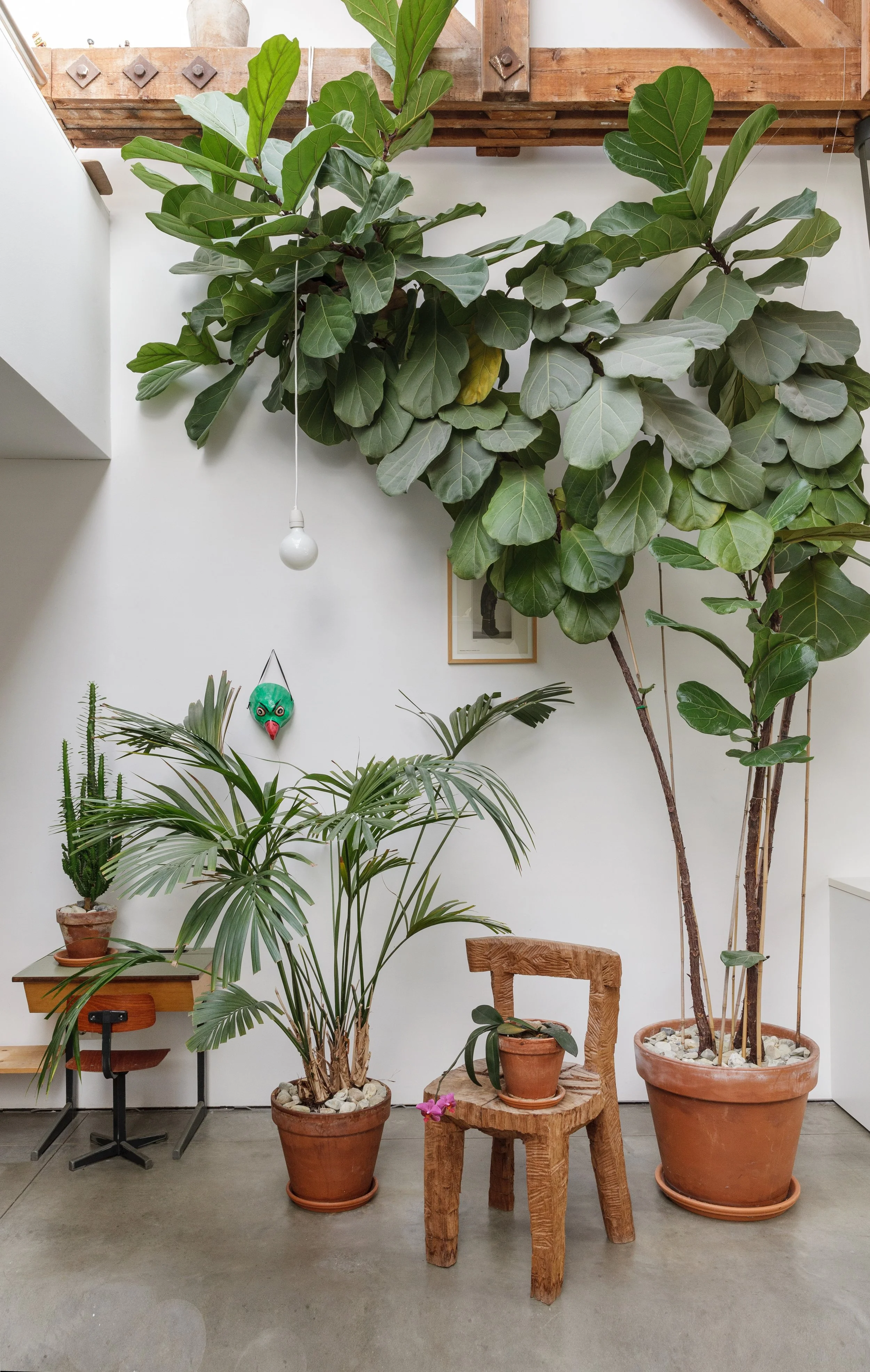 Studio Formafantasma