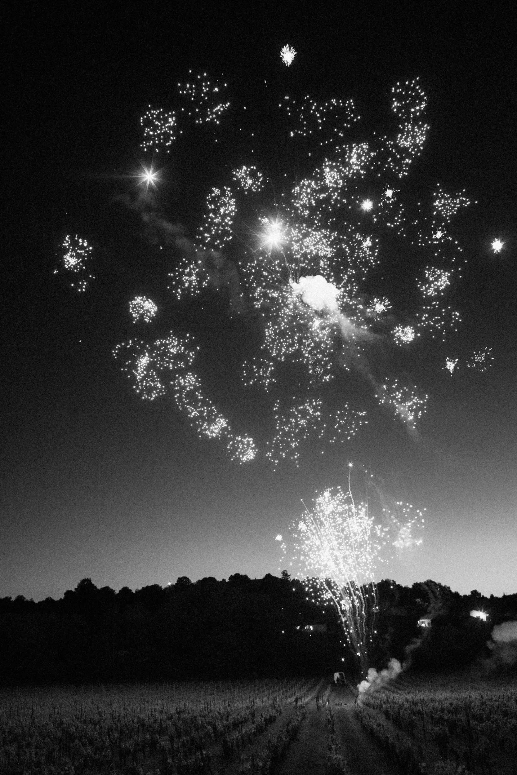 Fireworks exploding in the night sky above a dark landscape, possibly a field or vineyard, with trees and small houses in the distance.