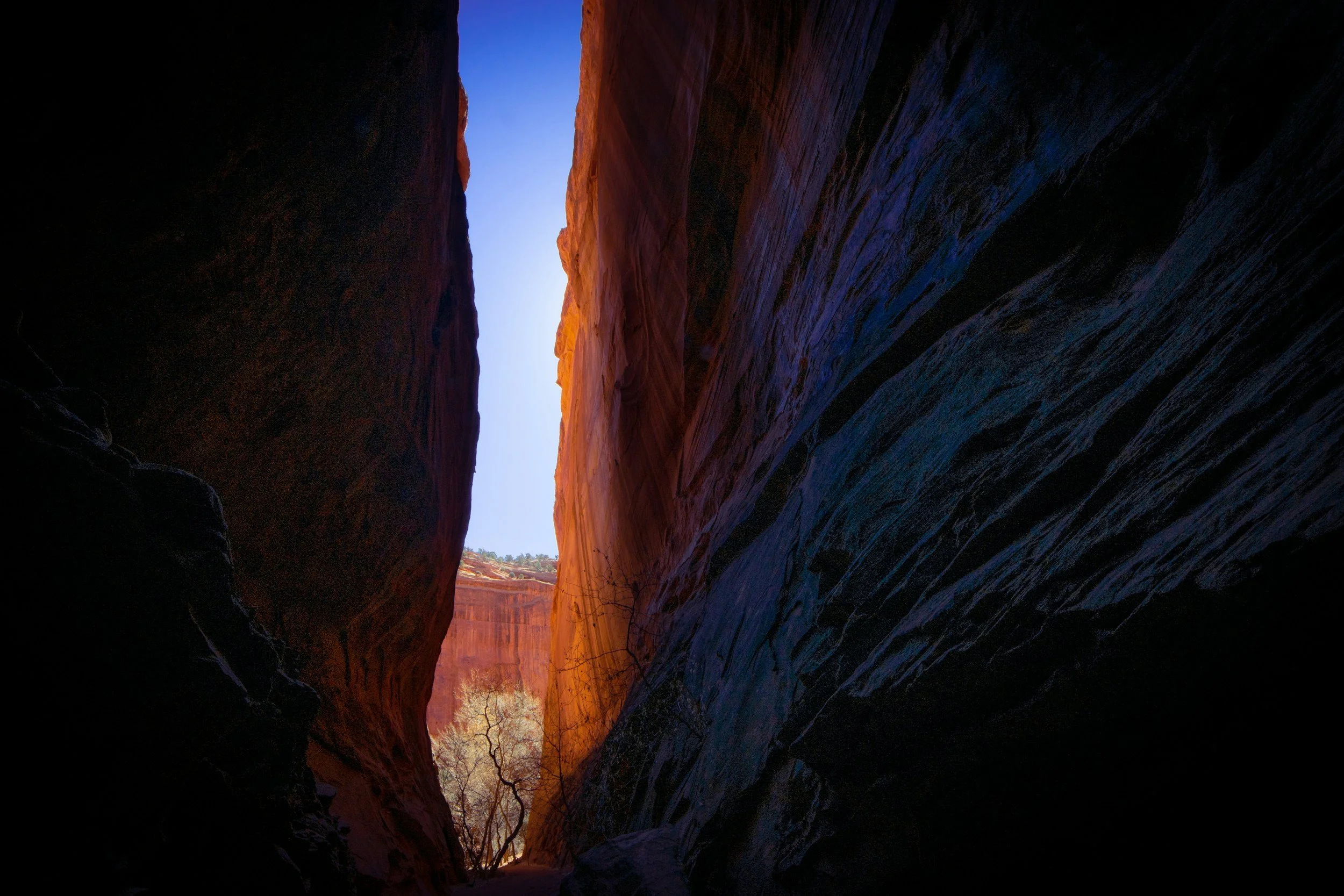 A view of a canyon opening with tall, colorful rock walls, a tree, and a bright blue sky visible at the top.