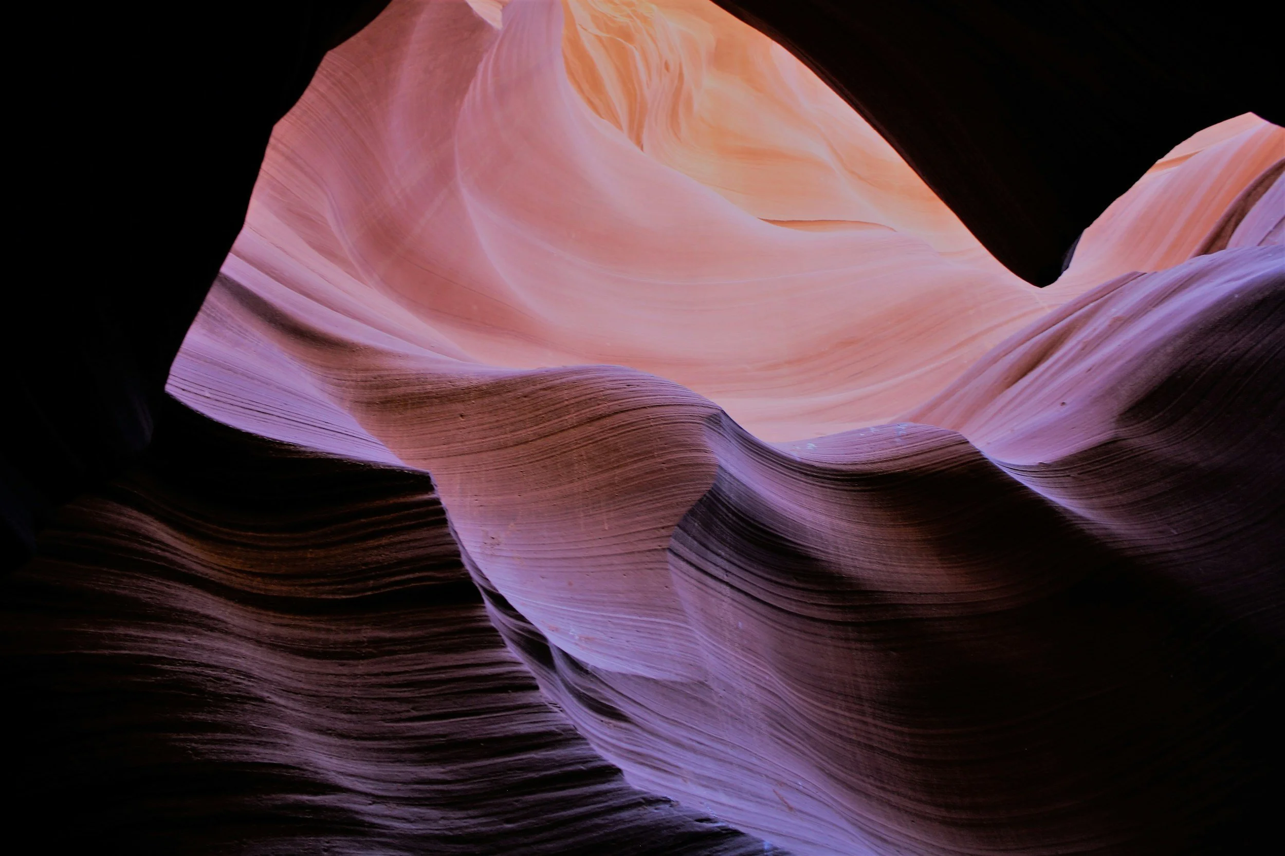 Inside a winding canyon with smooth, layered walls illuminated by pink, purple, and orange light.