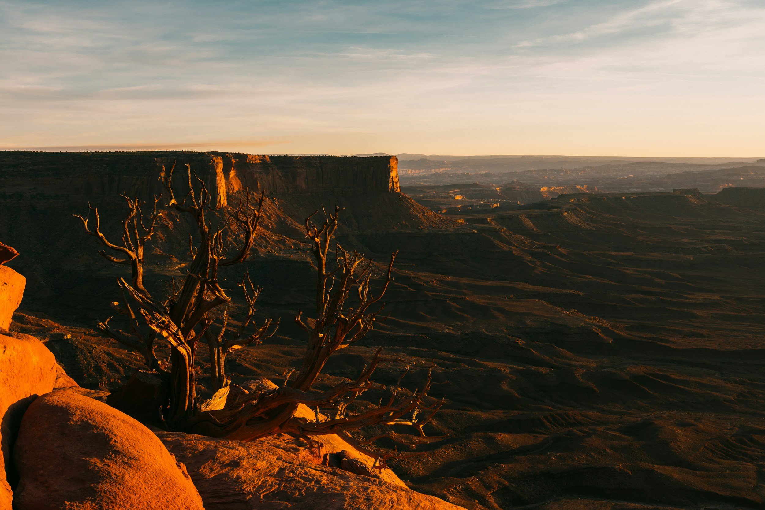 Southwest desert landscape with a leafless tree, large rocks in the foreground, and cliffs in the background during sunset.