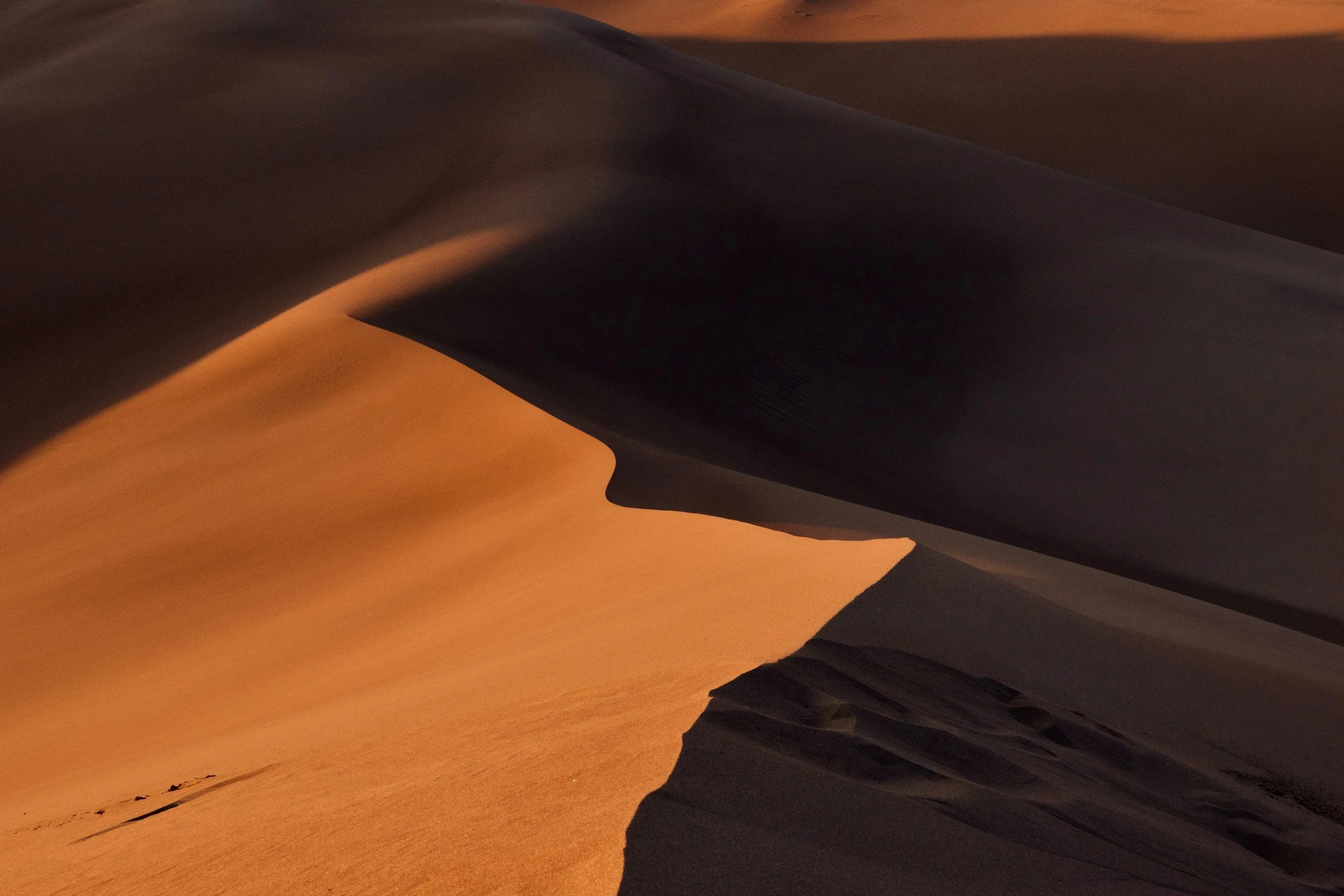 Close-up of sand dunes in a desert with shadows and warm lighting.