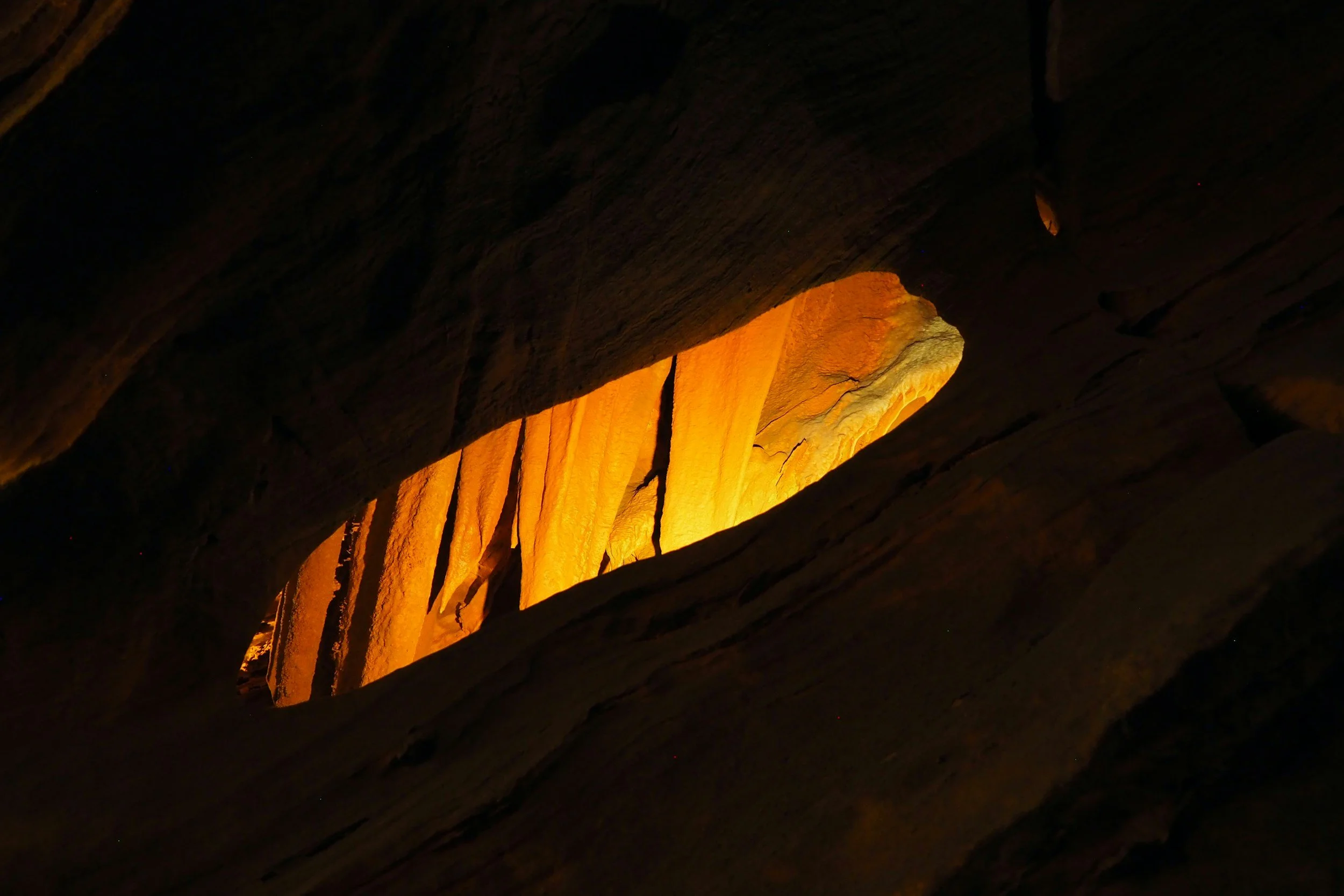 A Guide to Natural Burials