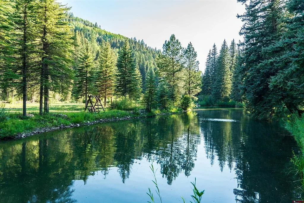 A peaceful river flowing through a lush green forest with tall pine trees on both sides and a mountain in the background.