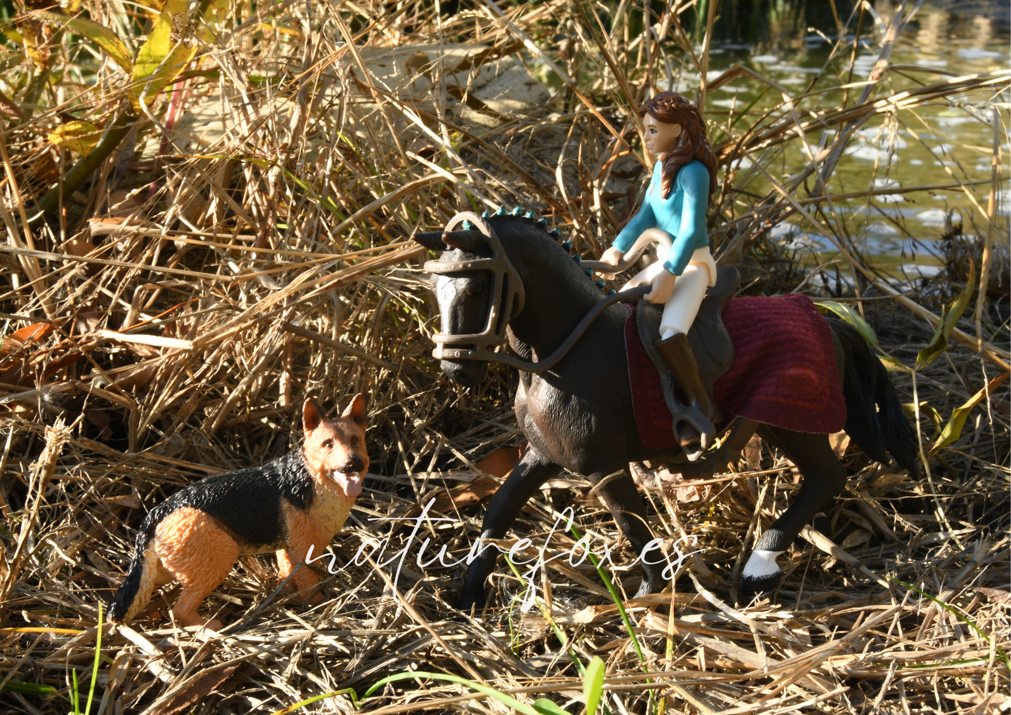 10 Model horse photography prompts!