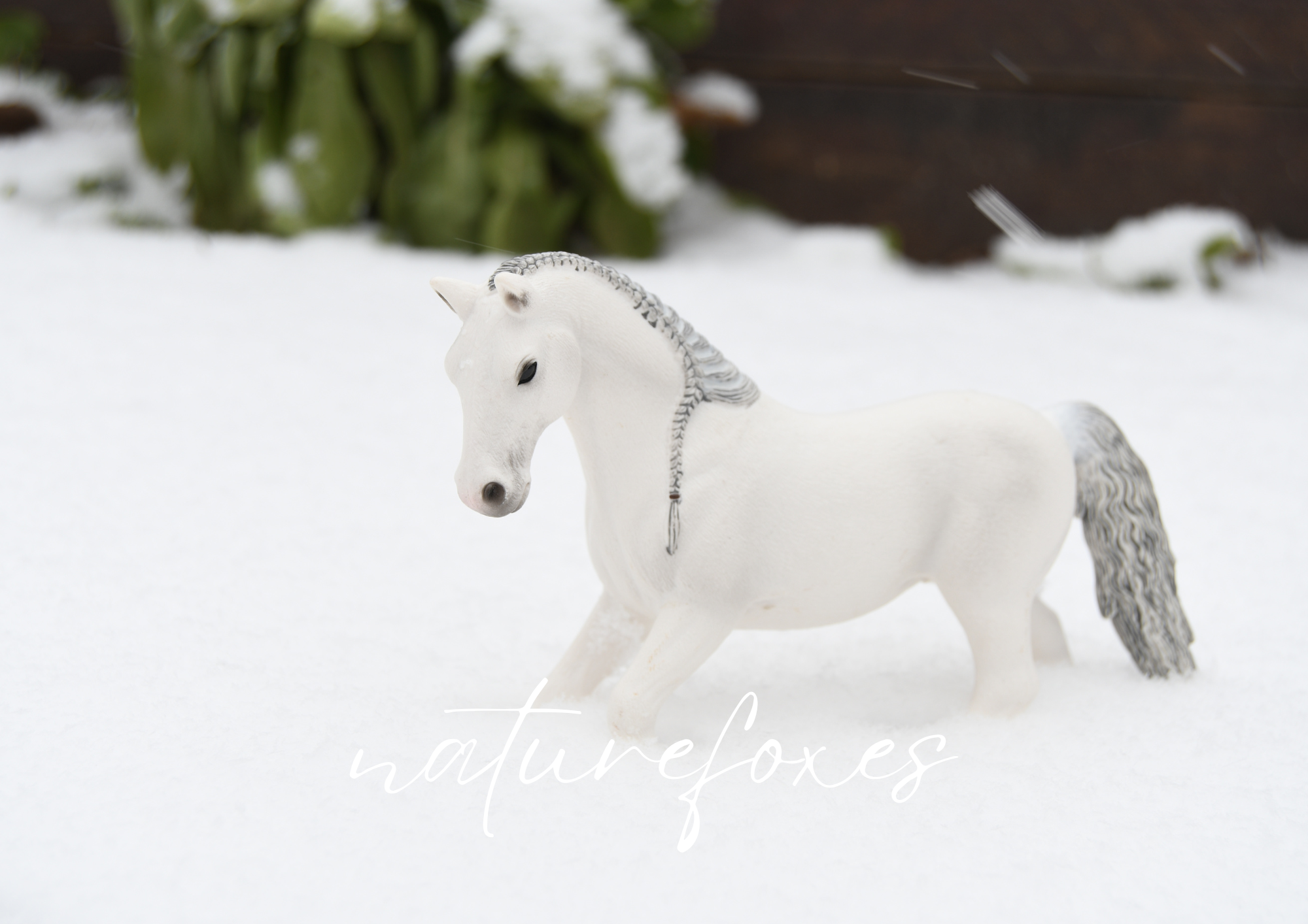 Come with Me to Photograph Model Horses in the Snow!