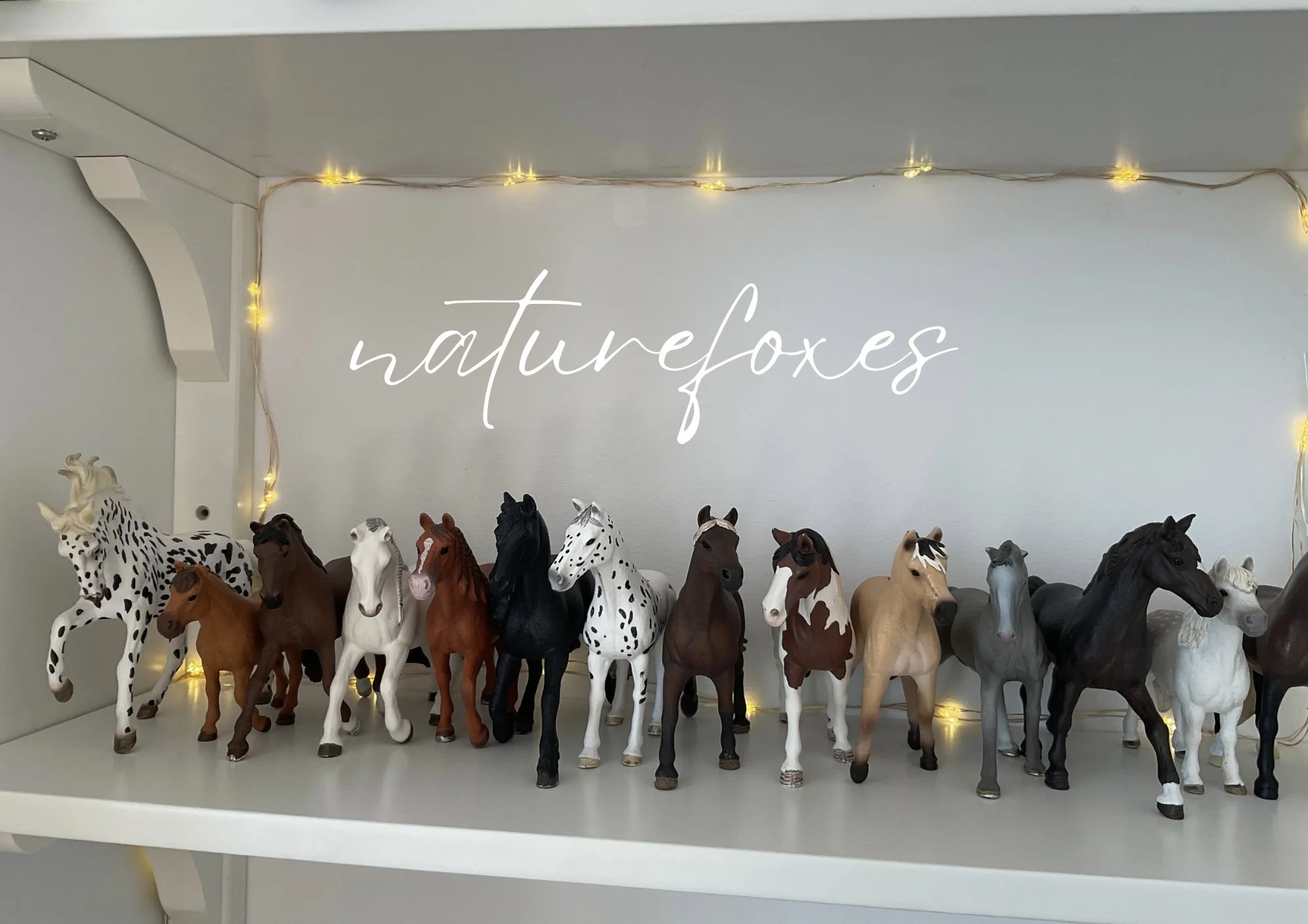 Clean the Horse Shelf with Me! Horse organization, Schleich Horses, Model Horse Shelf