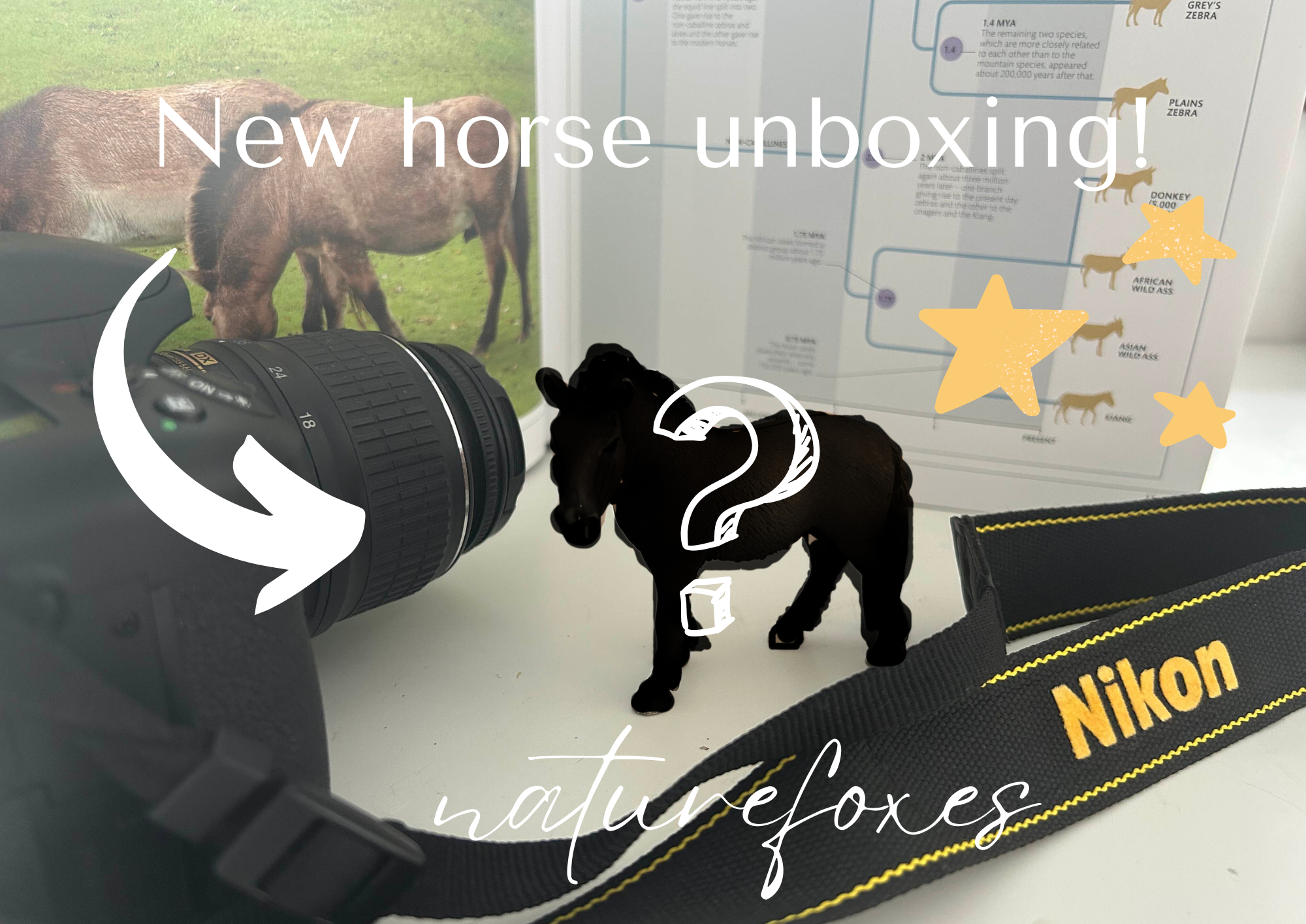 Unboxing a very special Schleich horse! Przewalski's horse breed, retired Schleich, model horse unboxing