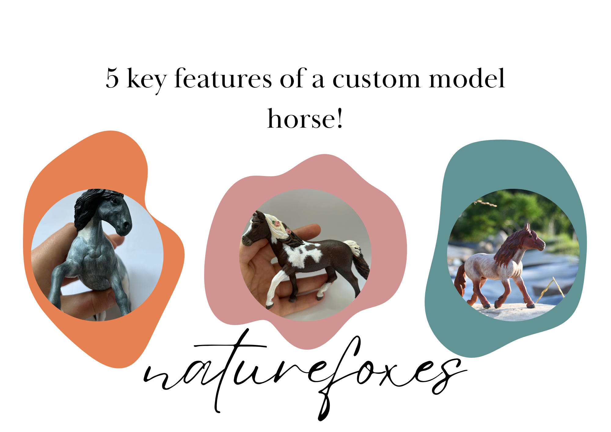 5 Key Features of a Custom Model Horse!
