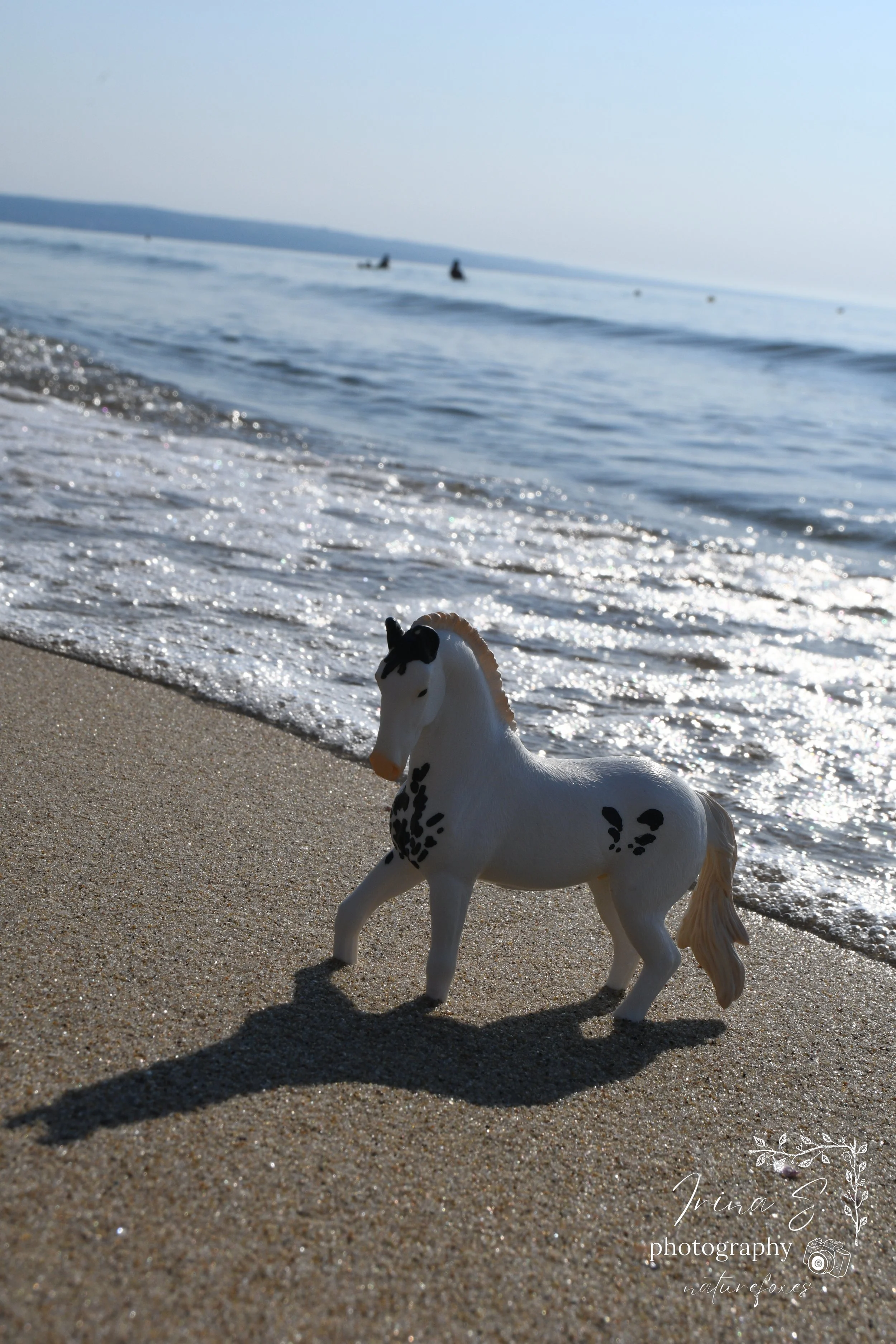 Beach trip to the sea! Model horse photography