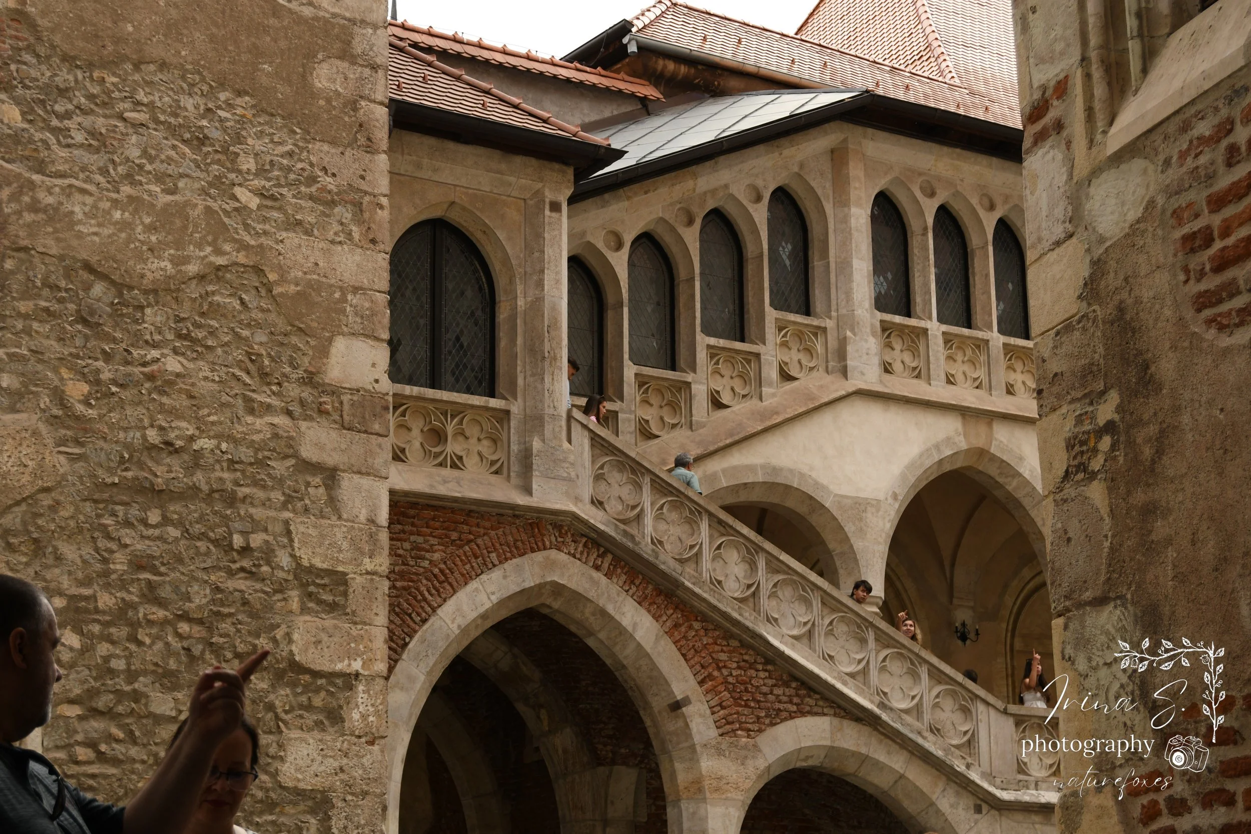 Artistic Photography Trip! A castle, A dog, And cinematic scenes.