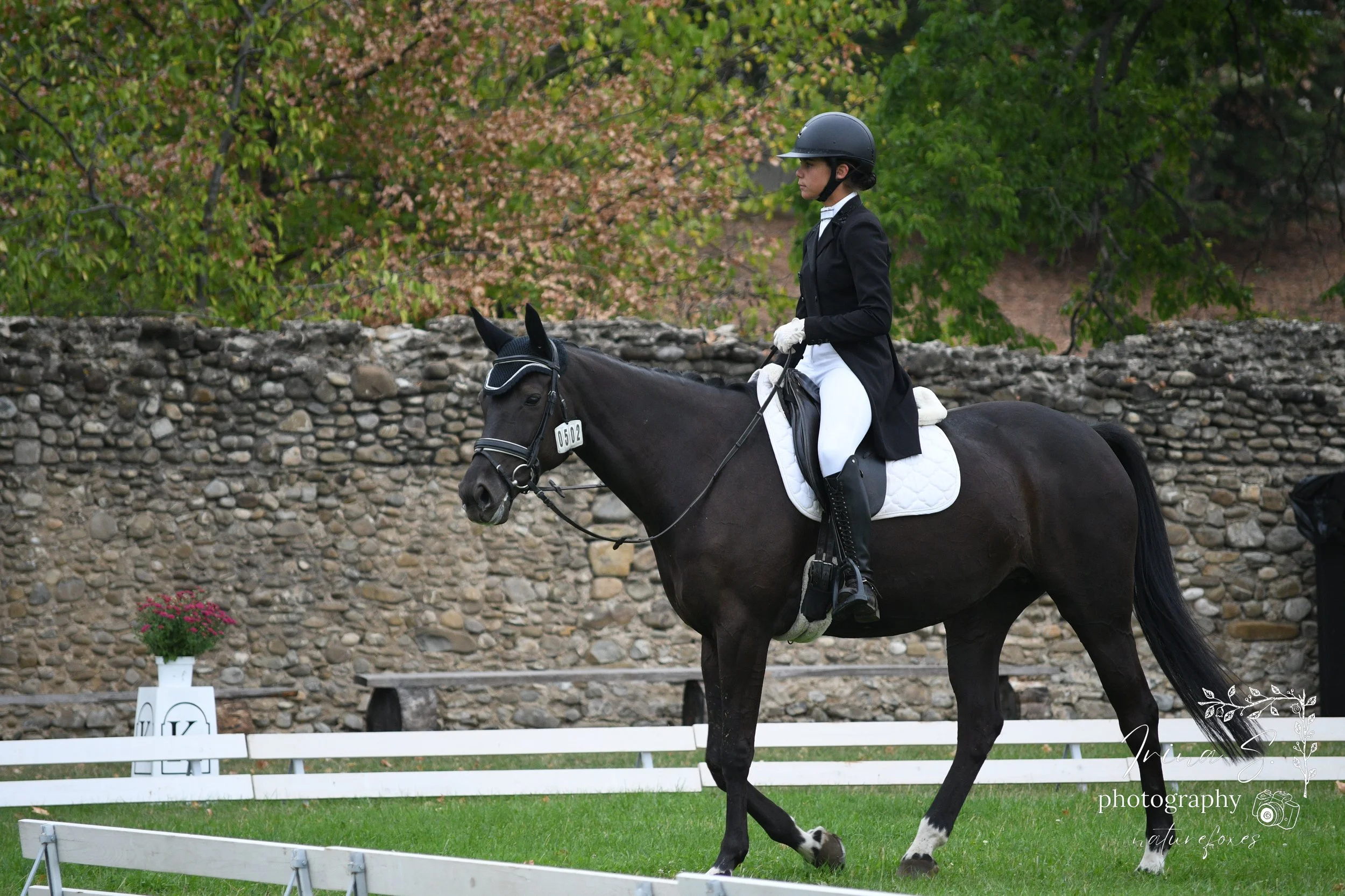 Karpatia Horse Show 2025, 10 year anniversary,photography trip dressage competition day