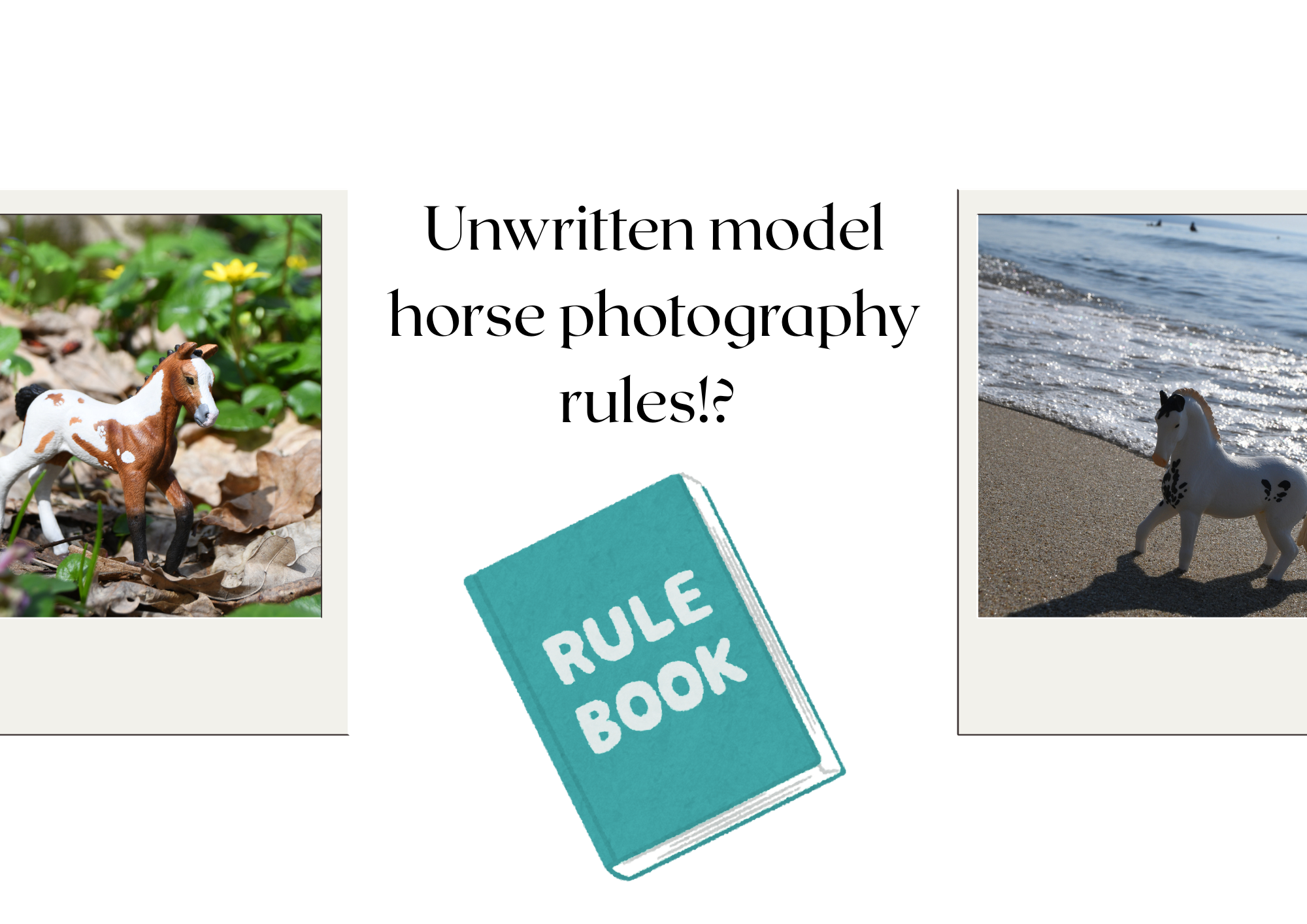 3 Model Horse Photography Unwritten Rules!? Should we break them?