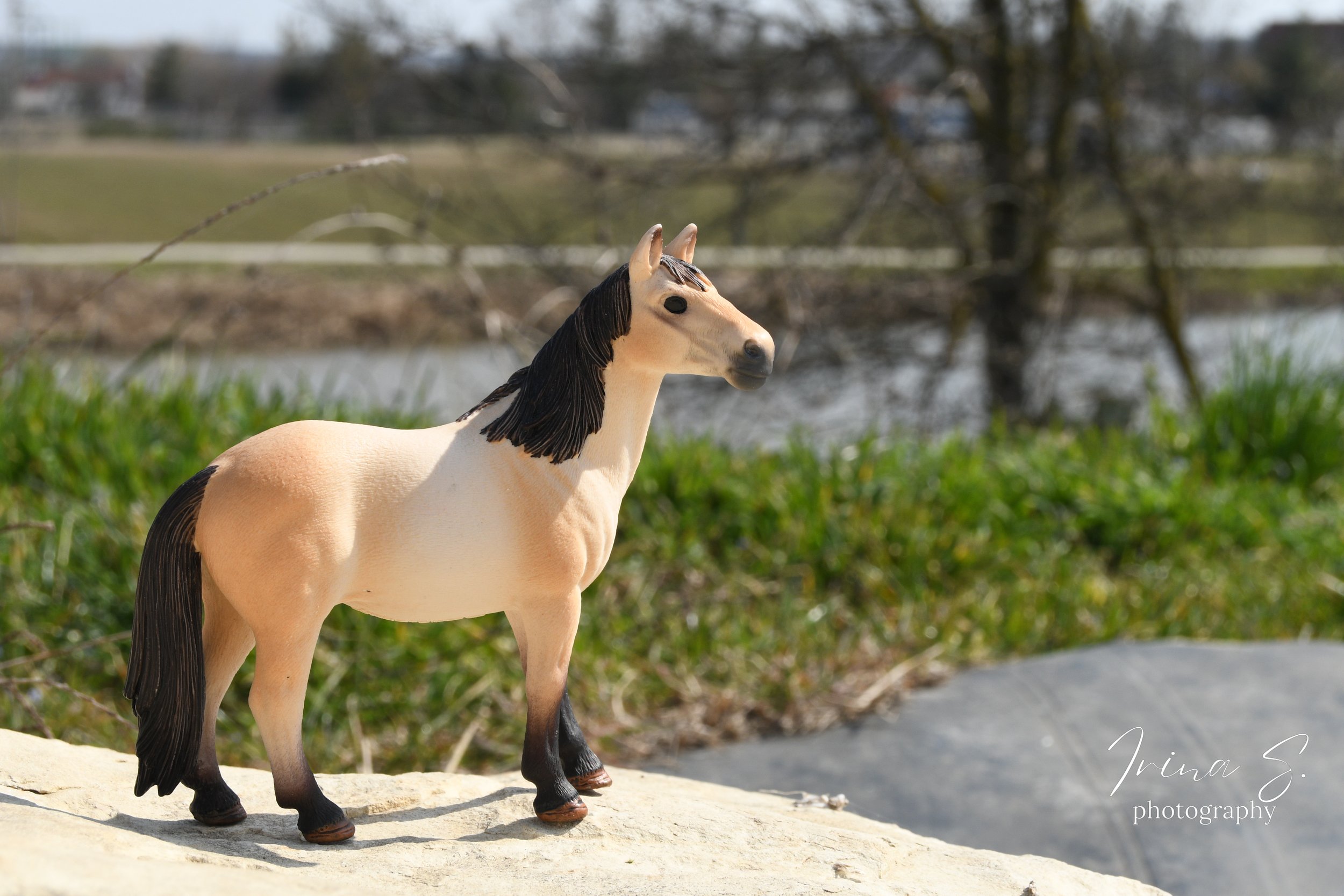 How to Choose Locations for Model Horse photo Shoots! 