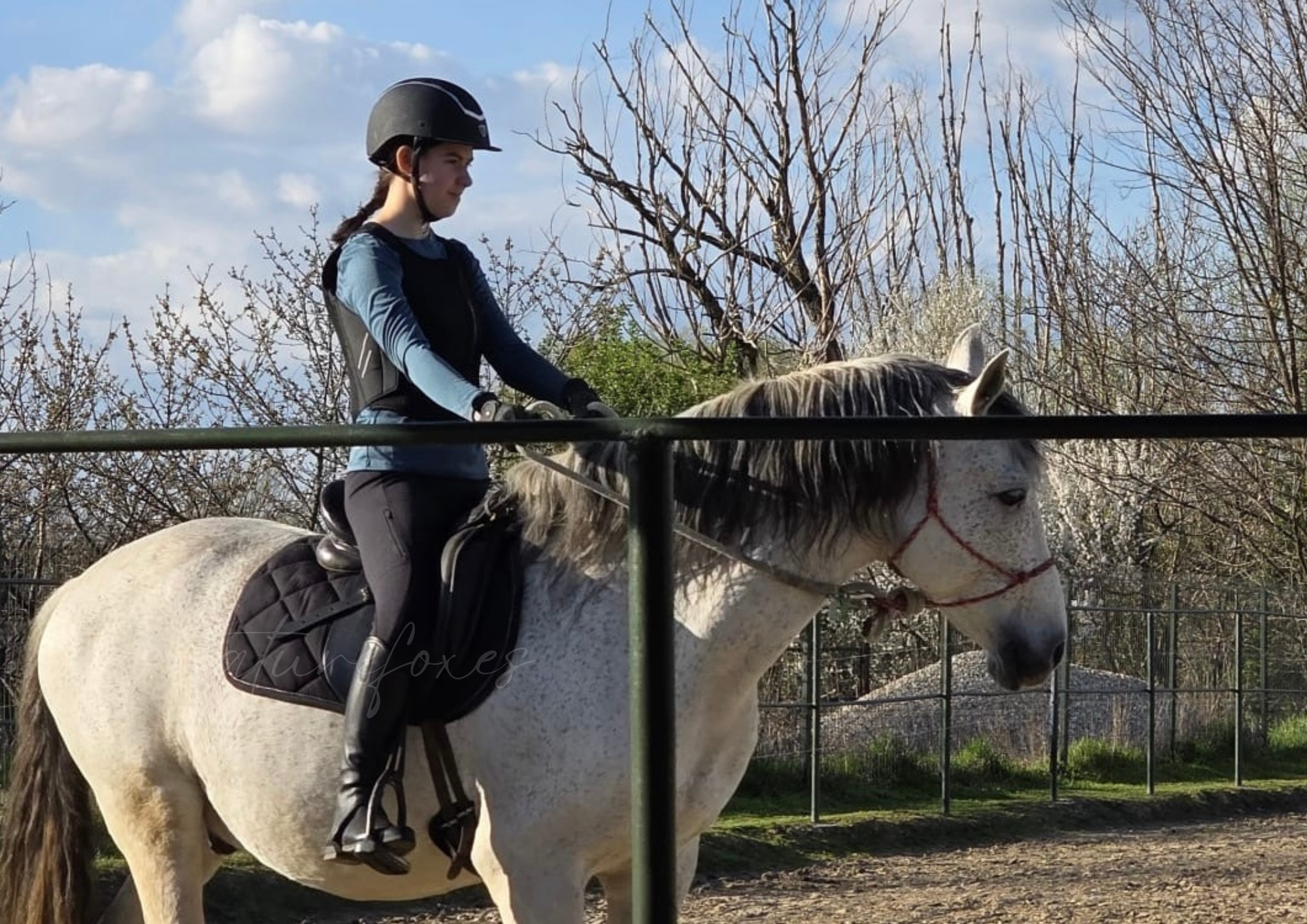 My Top 3 Riding Tips! Equestrians, horse riding