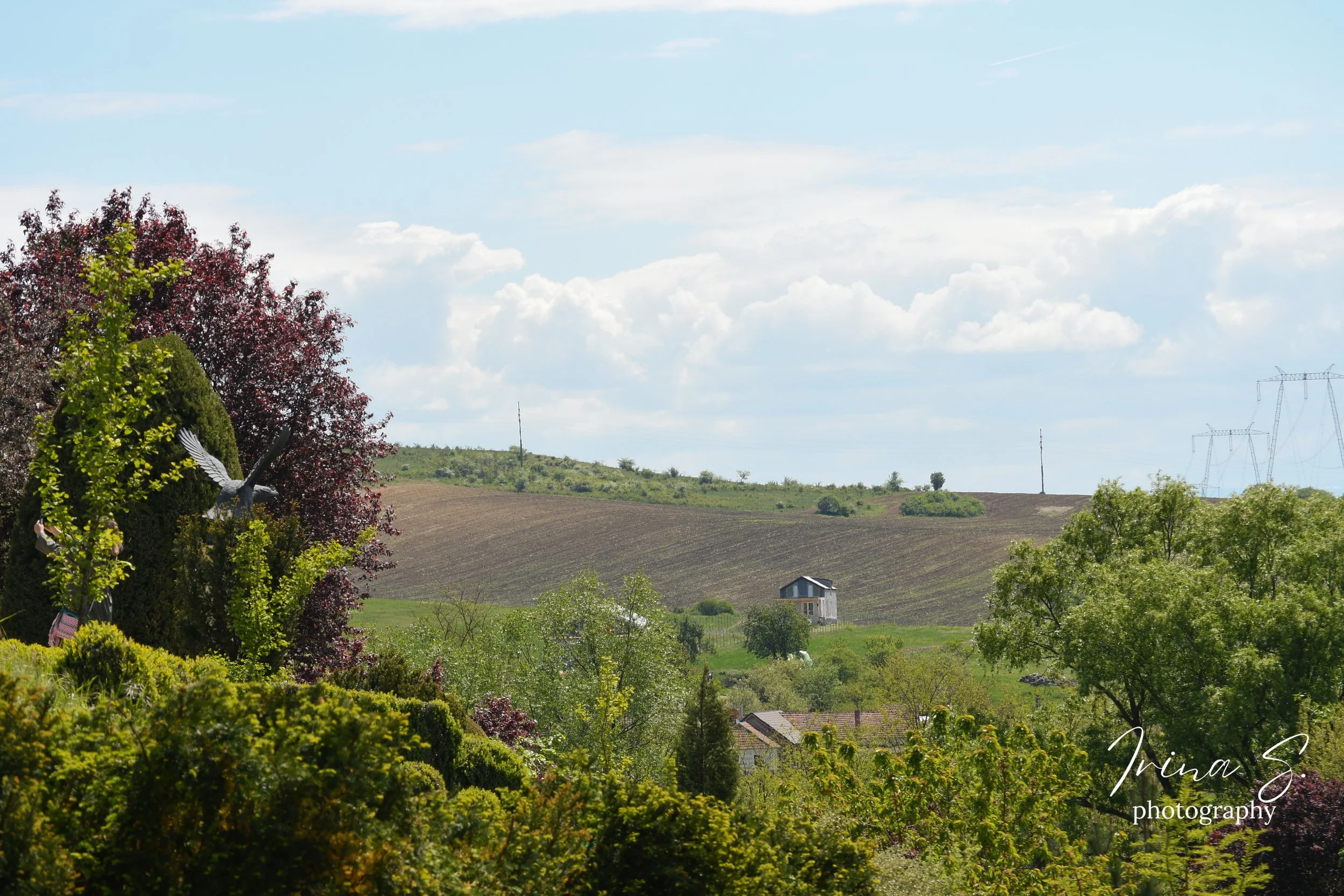 DSC_9066.jpg