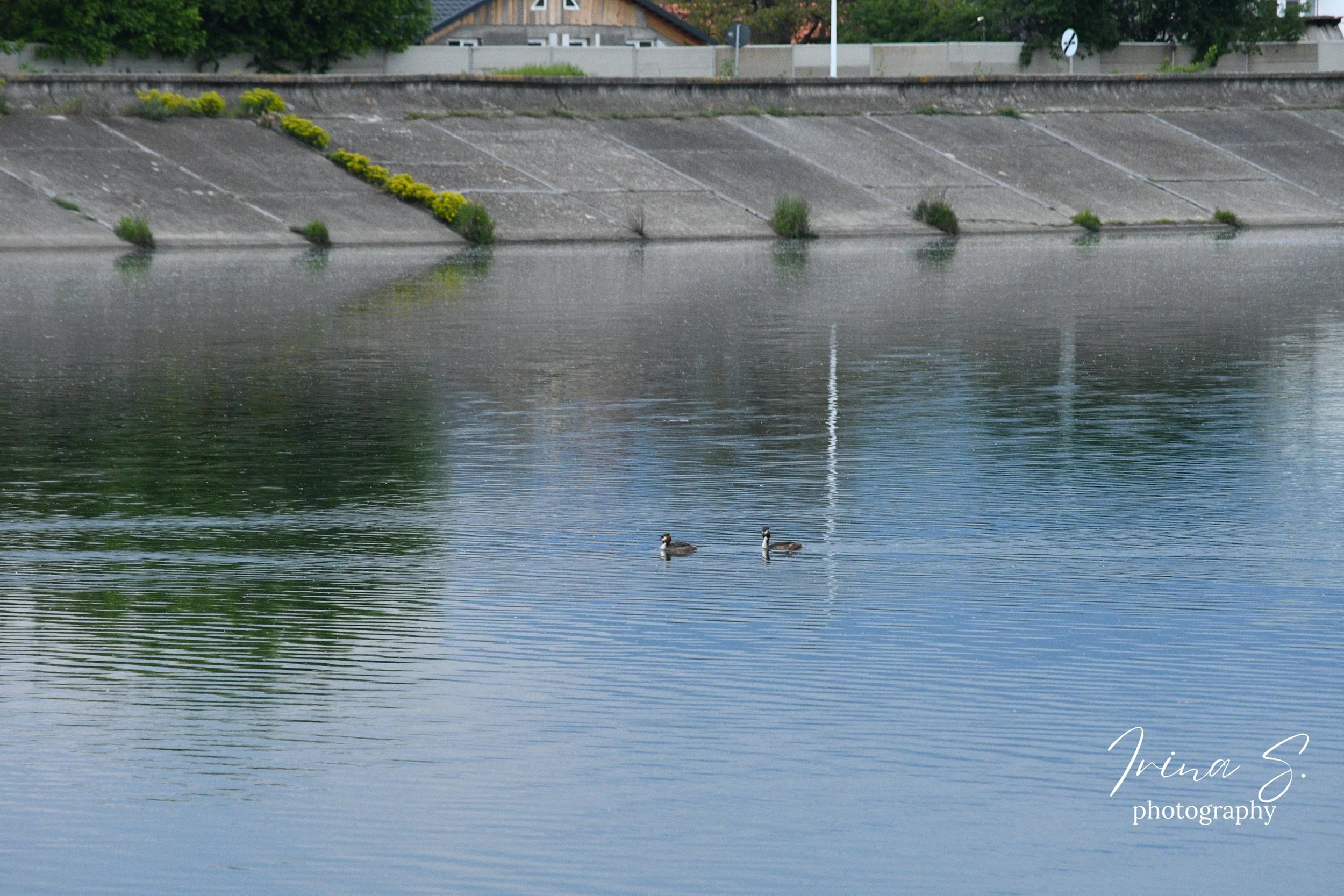 DSC_9005.jpg