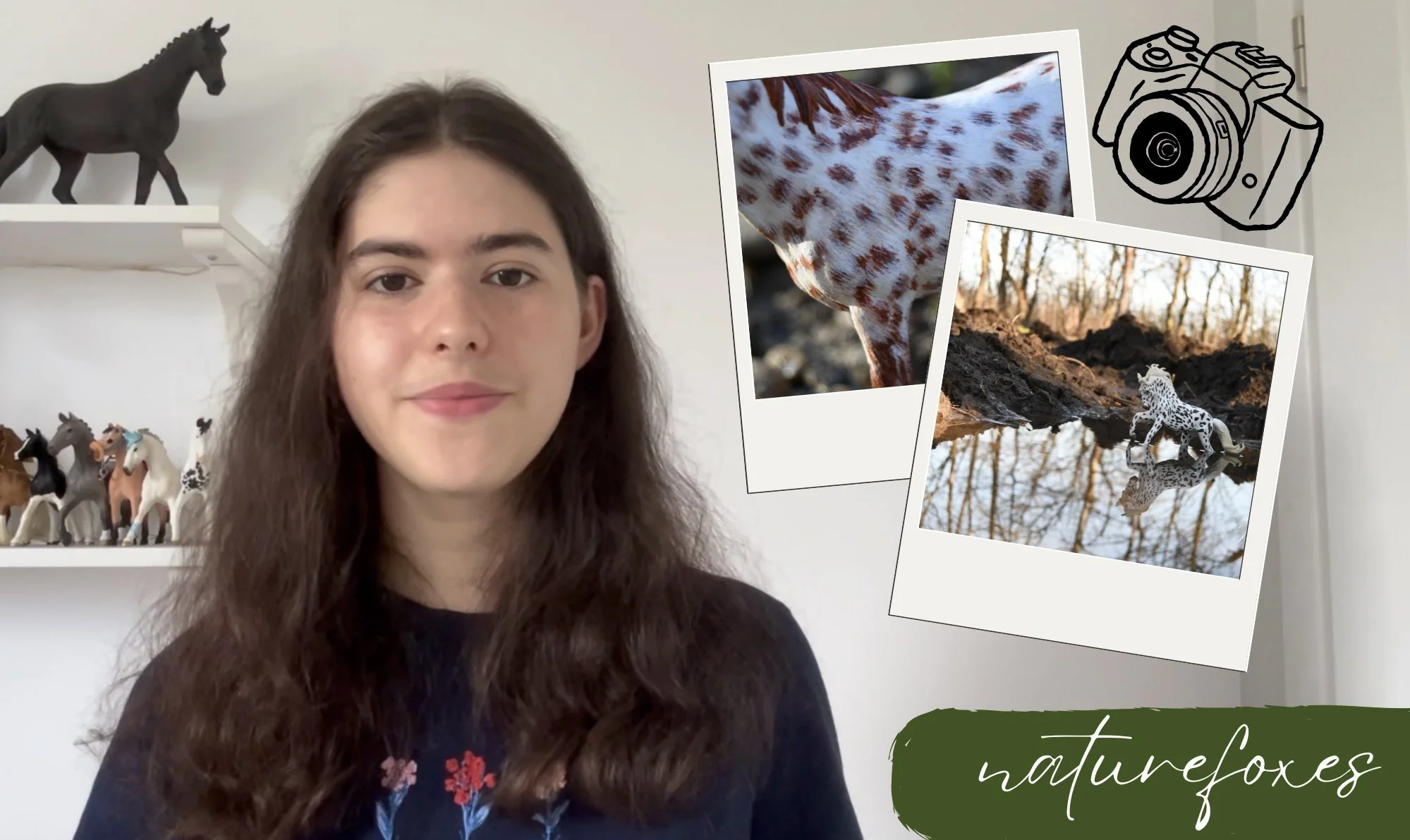 Video: Tips for Beginner Model Horse Photography! 