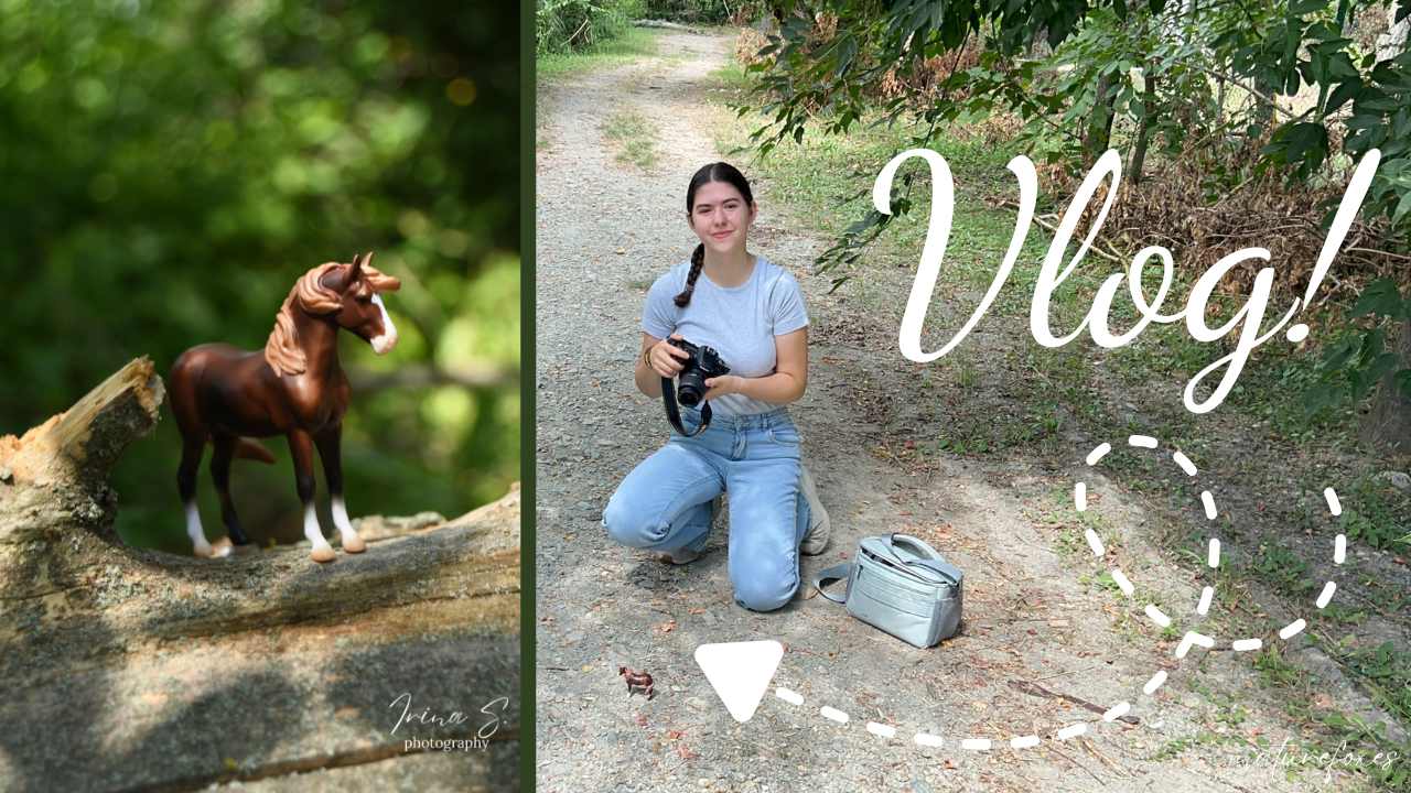 Model Horse Photography Vlog! Schleich and Breyer pictures! 