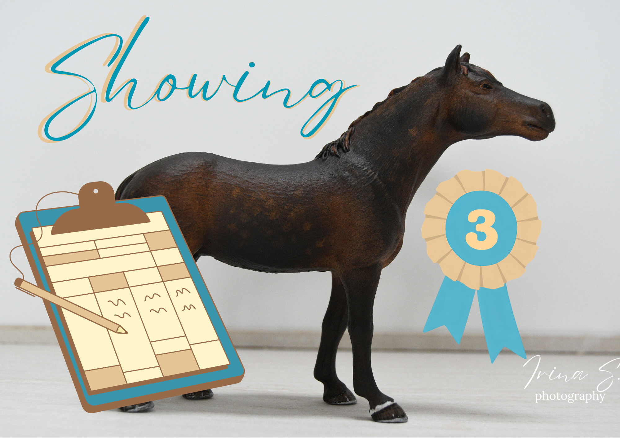 Model Horse Showing! Common Abbreviations, Class Definitions, and Set Up!