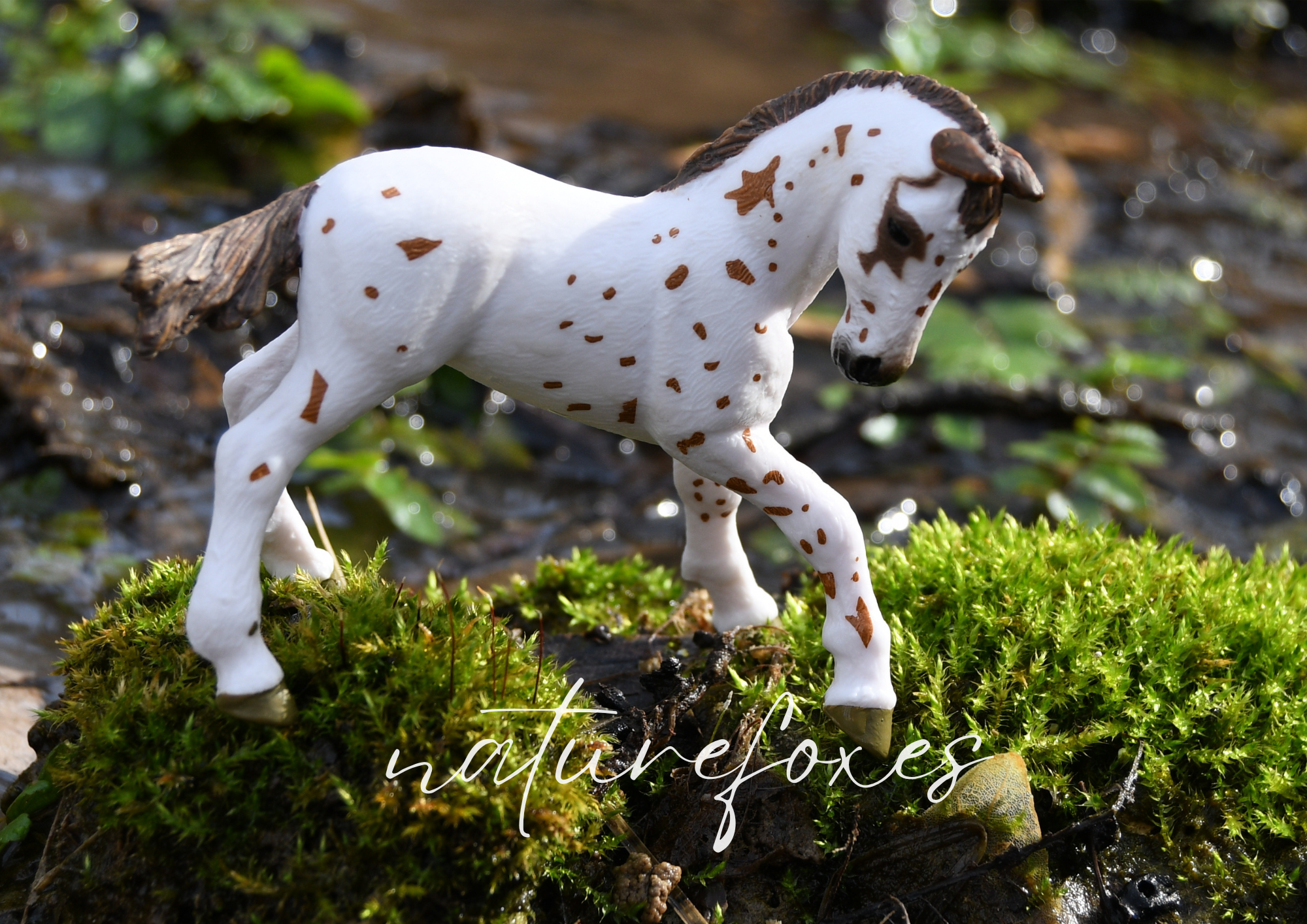 Model horse photoshoot! Spring photos, horses in meadow, Schleich horses