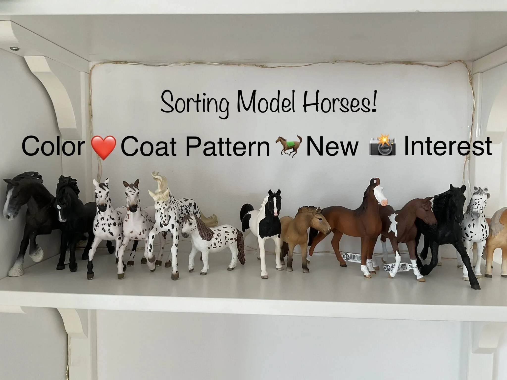17 Ways to organize your model horse collection, best order to display your model horses, Schleich, Breyer, CollectA, custom horses, etc.