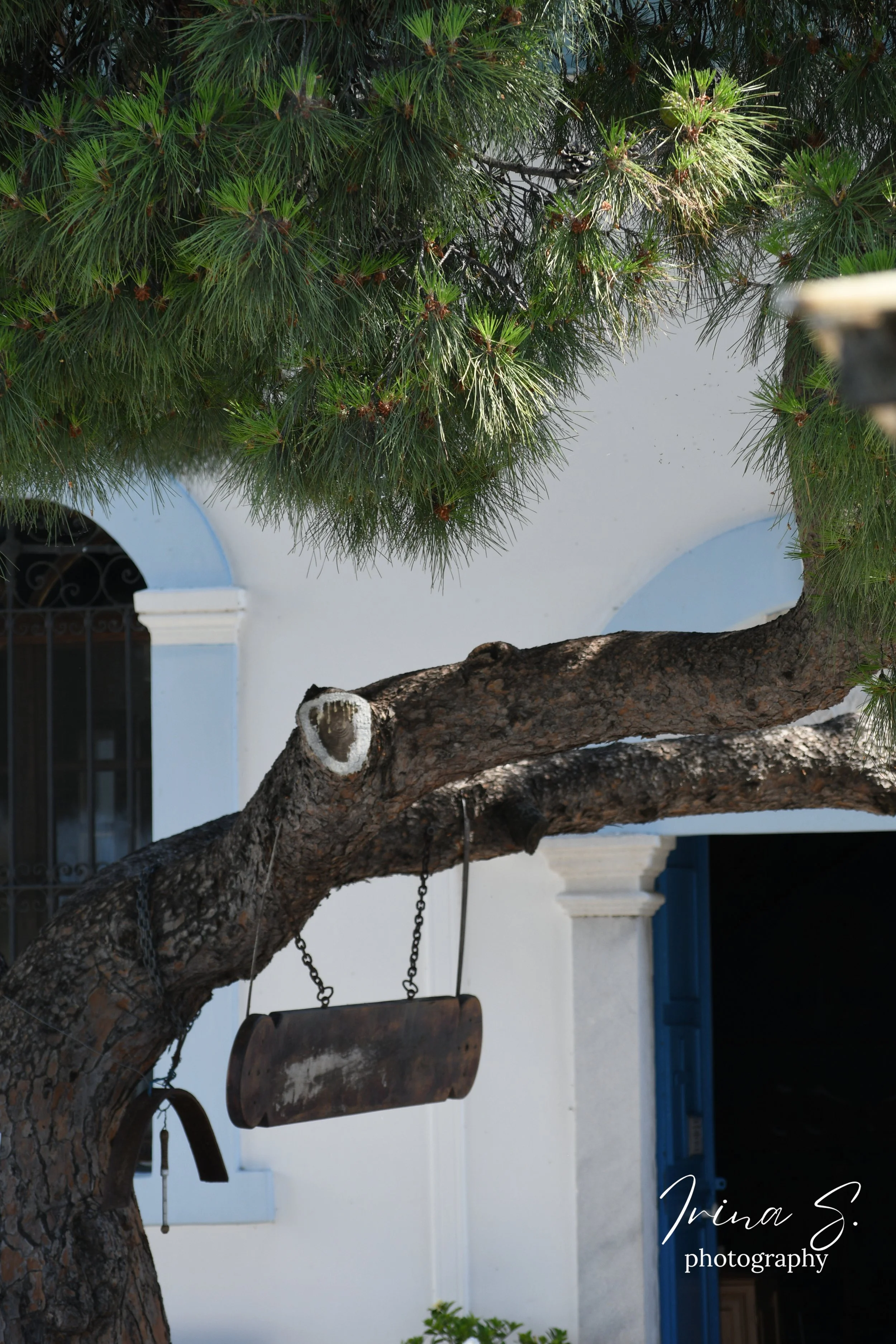 DSC_9710.jpg