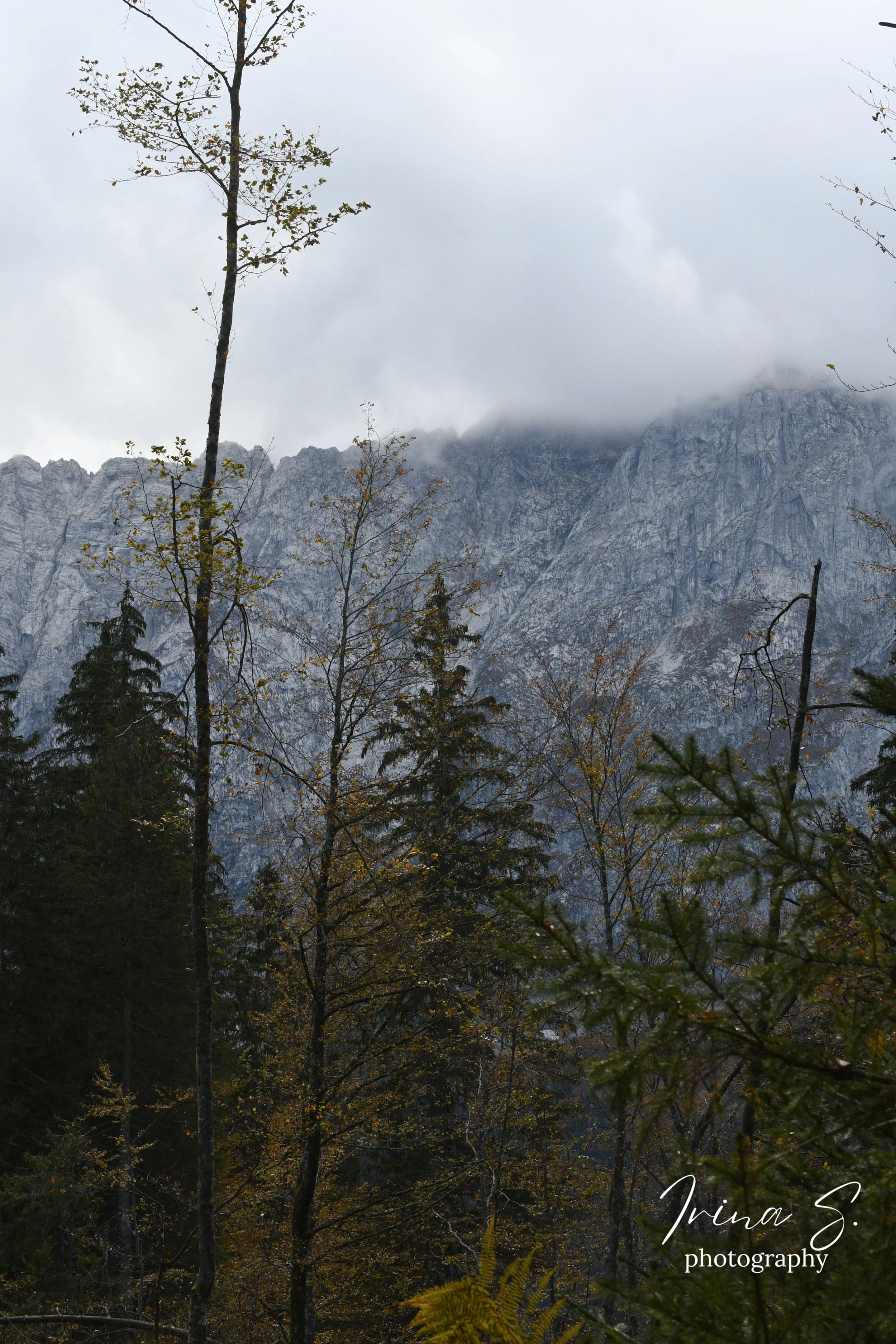 DSC_0871.jpg