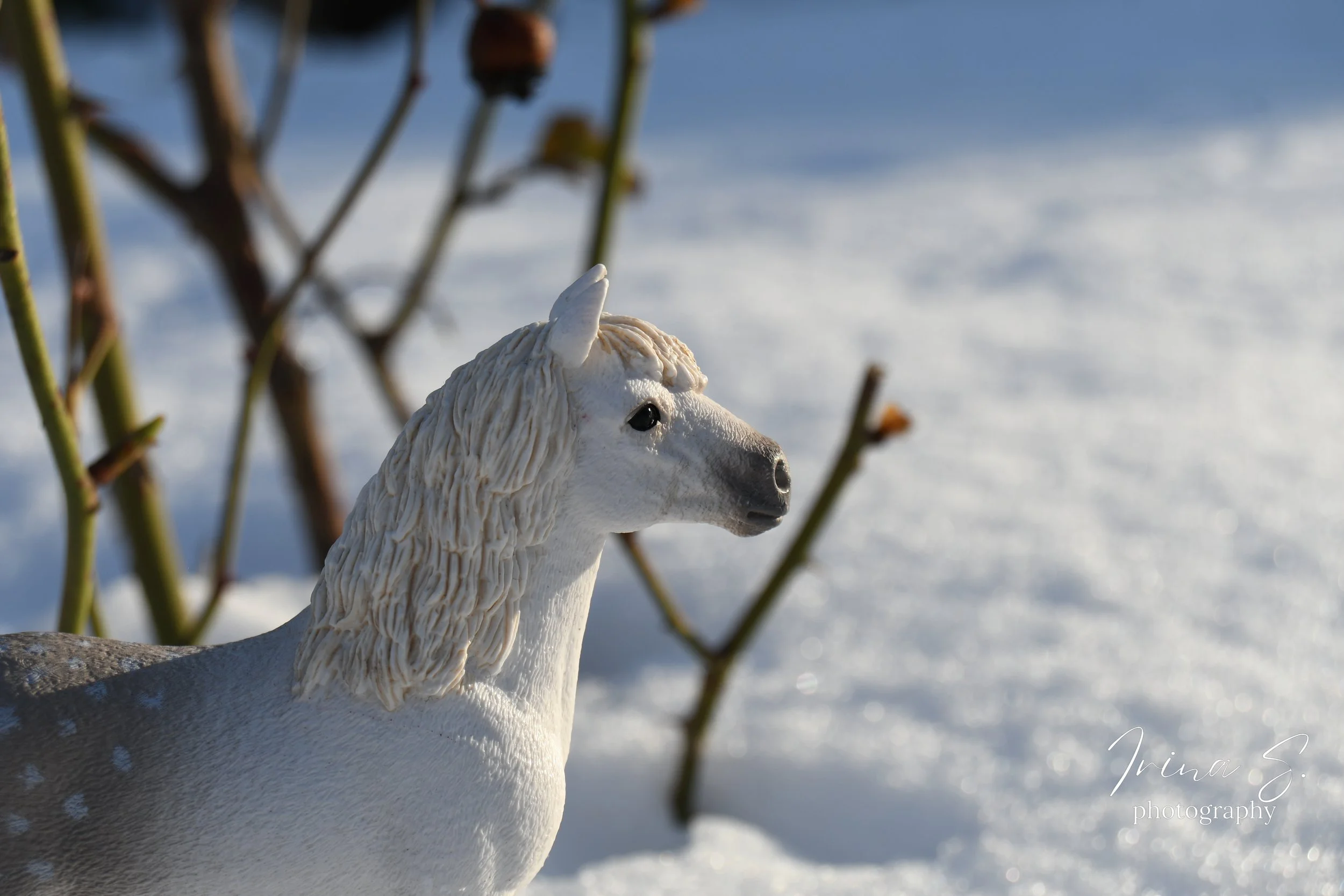 Simple Snow Shots, Model Horse Photoshoot in the snow, Schleich horse pictures