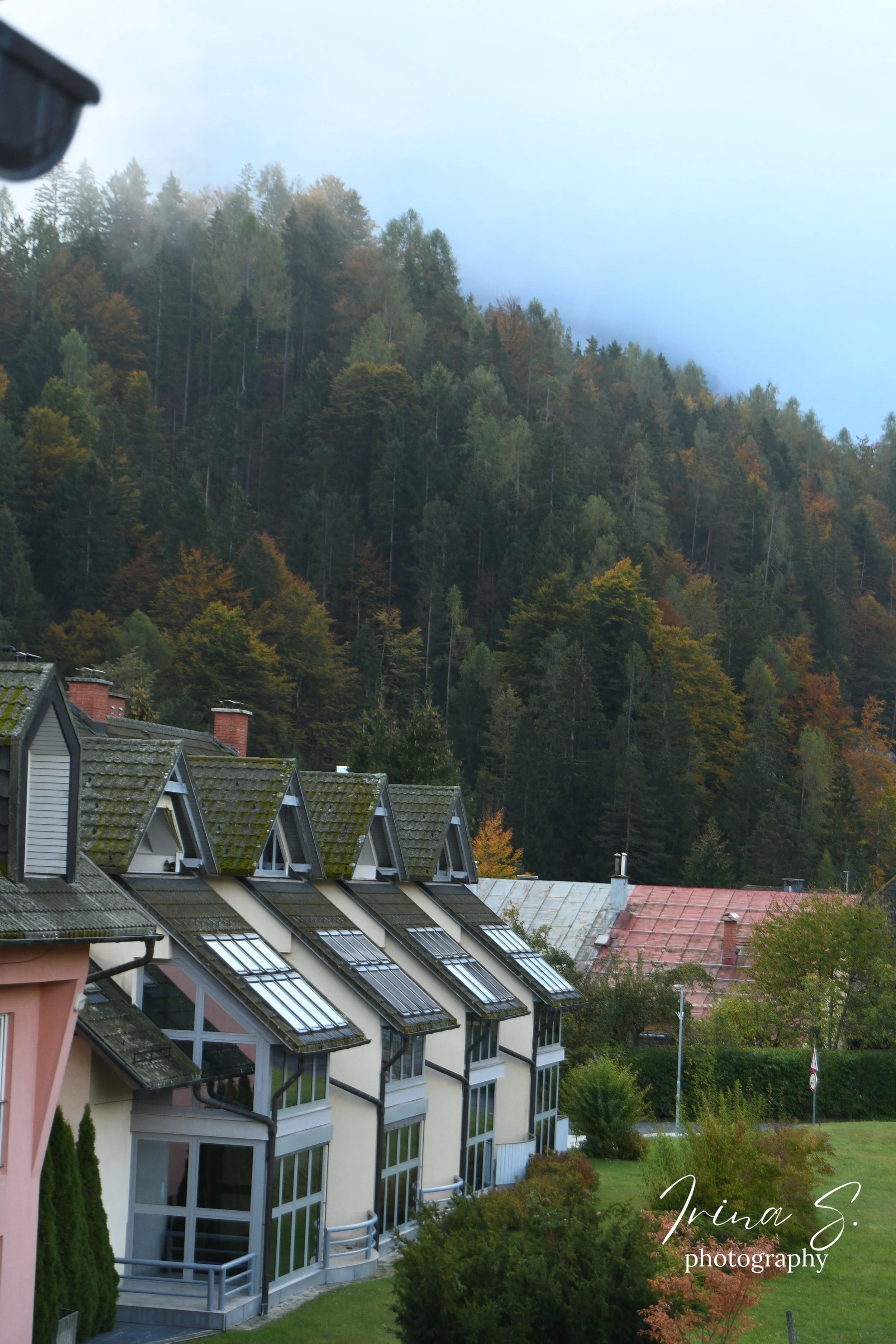 DSC_0586.jpg