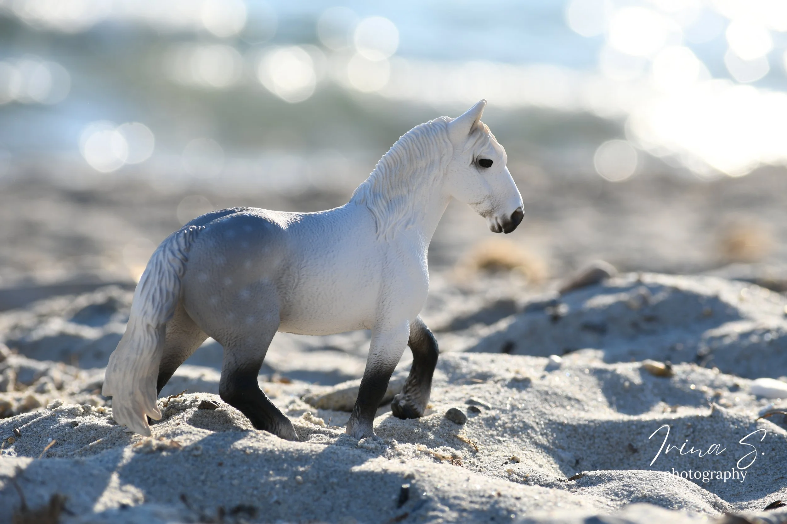 5 Beach Model Horse Photography Tips and Tricks! 