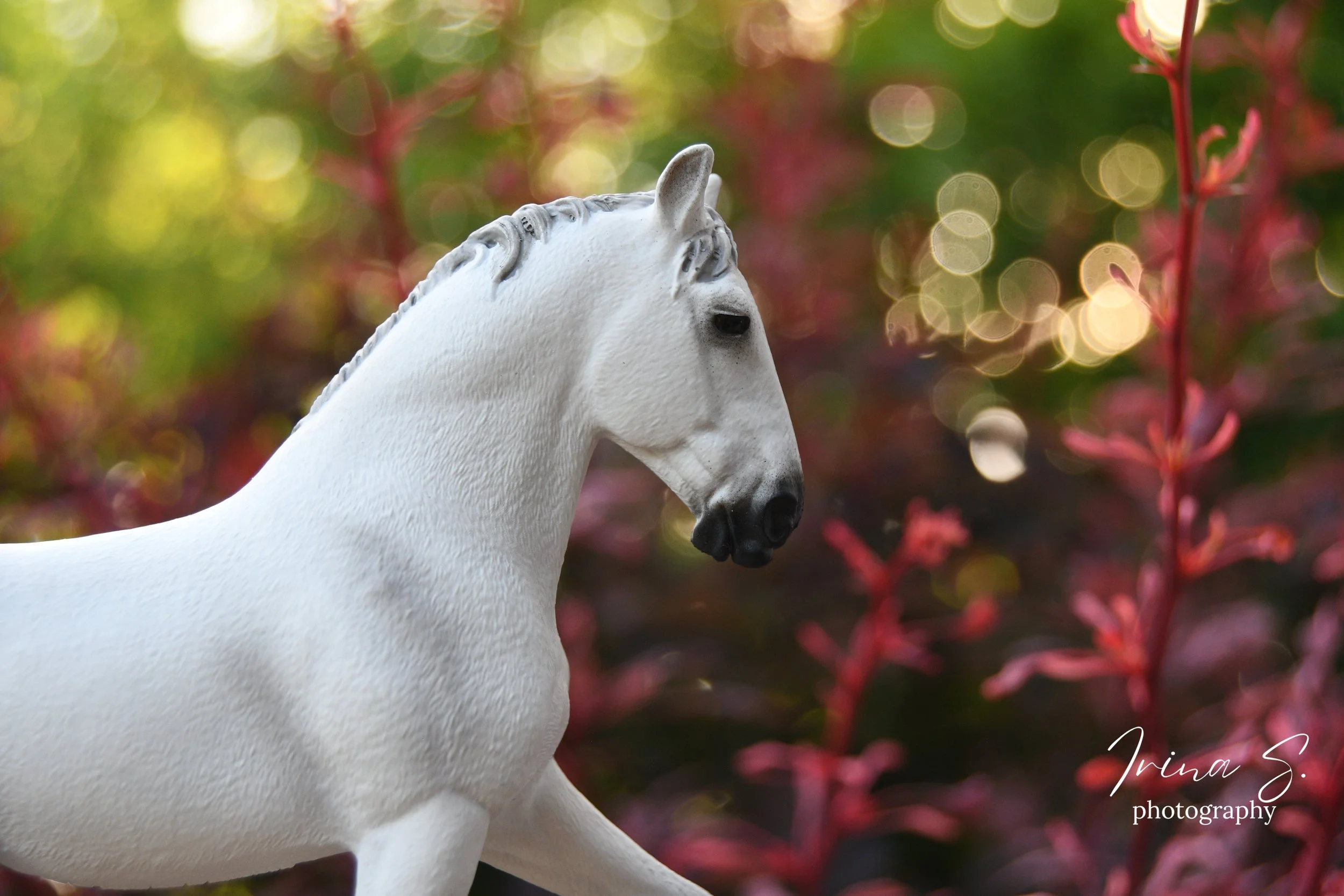 Mastering Handheld Model Horse Photography!
