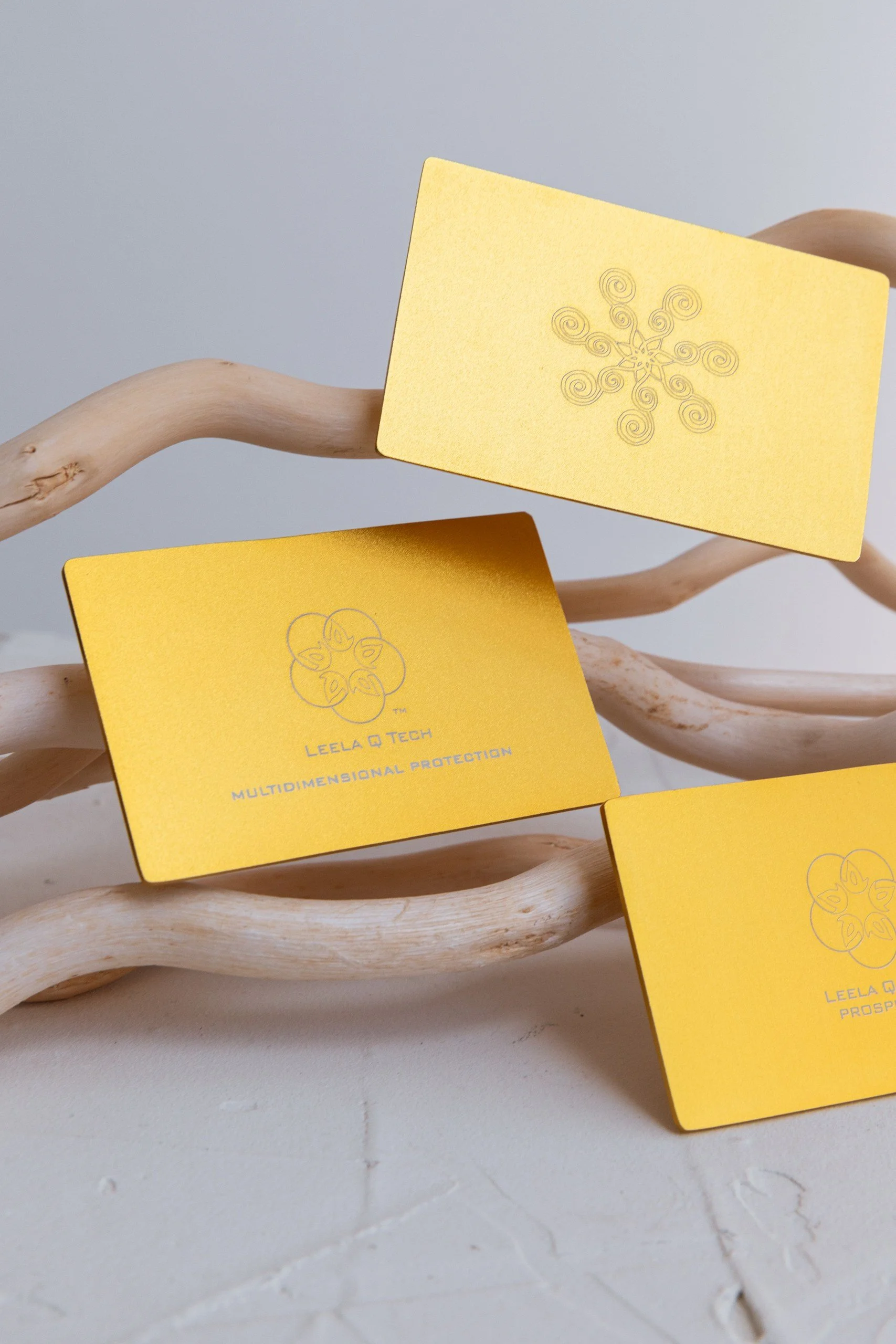 Copy of IMG_5222_resized.jpg