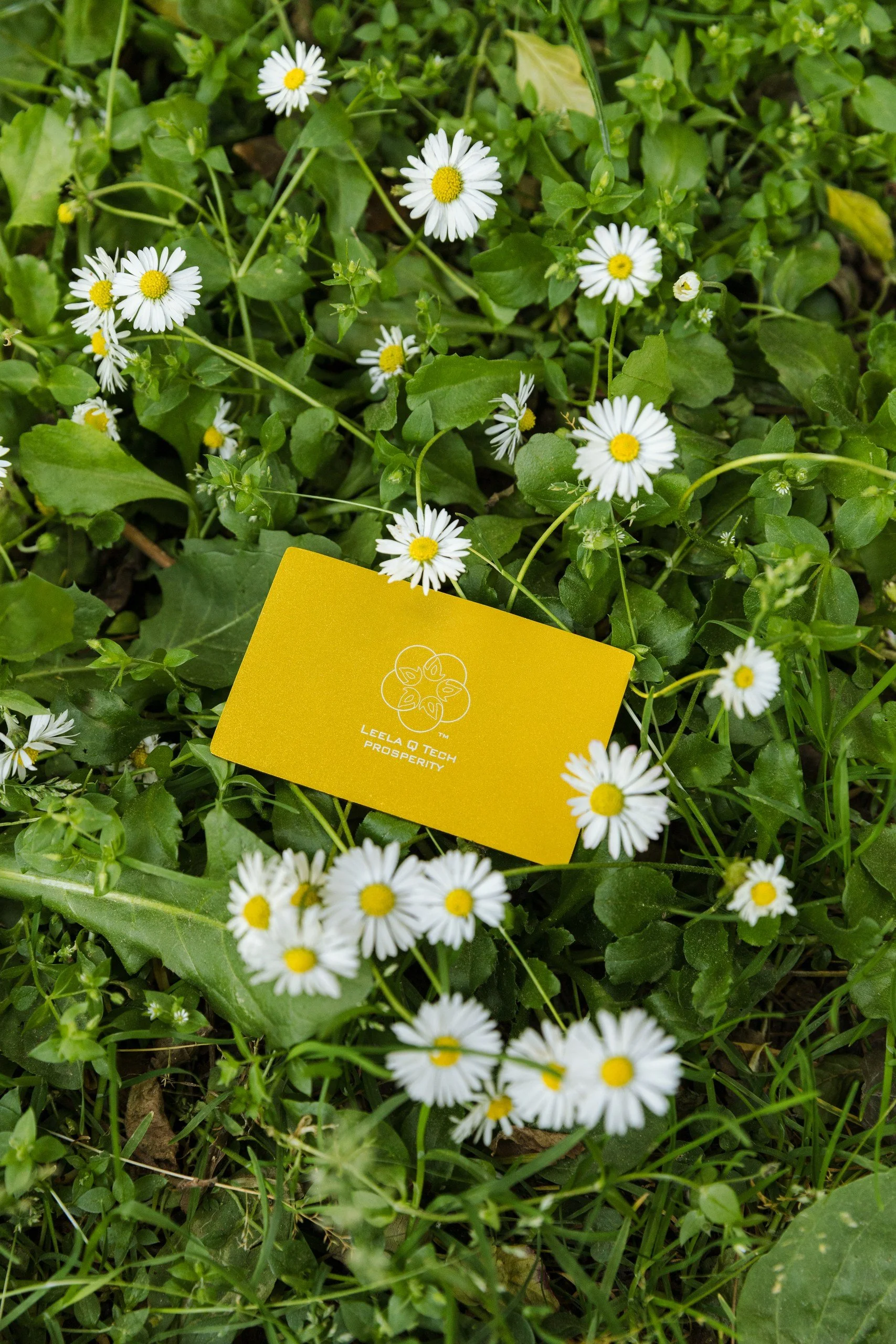 Frequency Card Weight Management