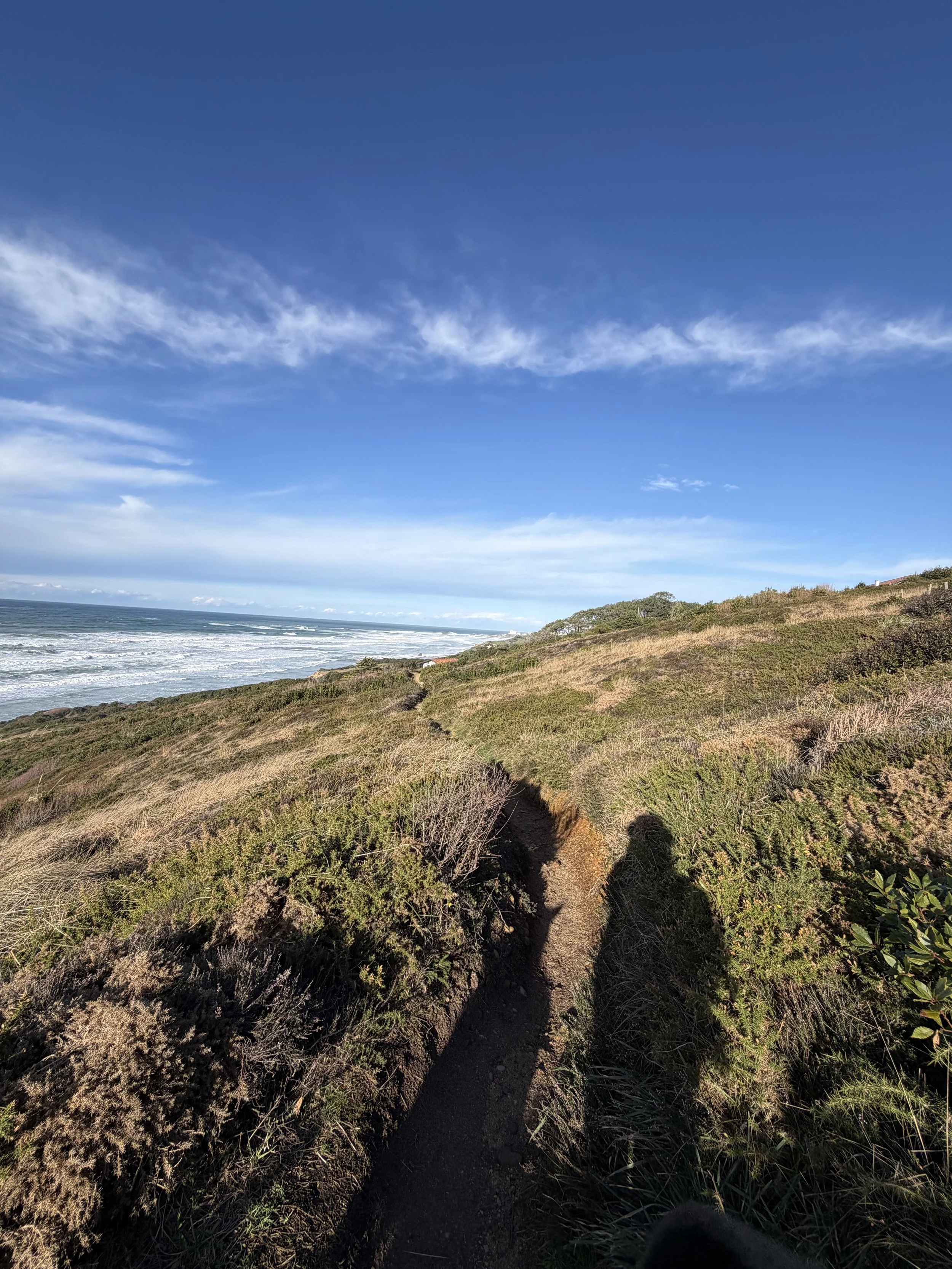 Pourquoi marcher aide à traverser les périodes de transition