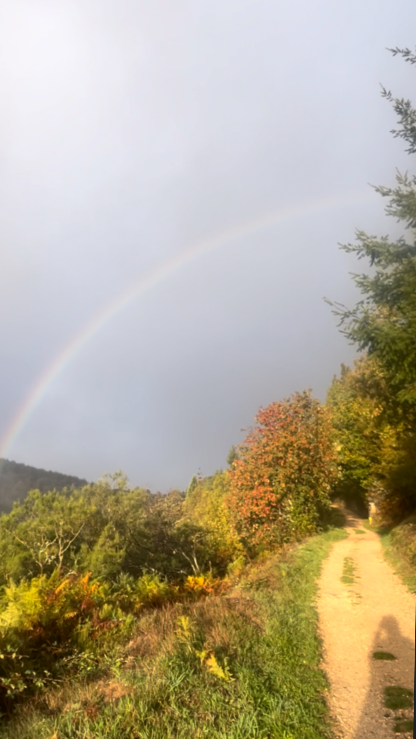 Chemin de randonnée en pleine nature au Pays Basque