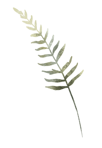 water color fern green