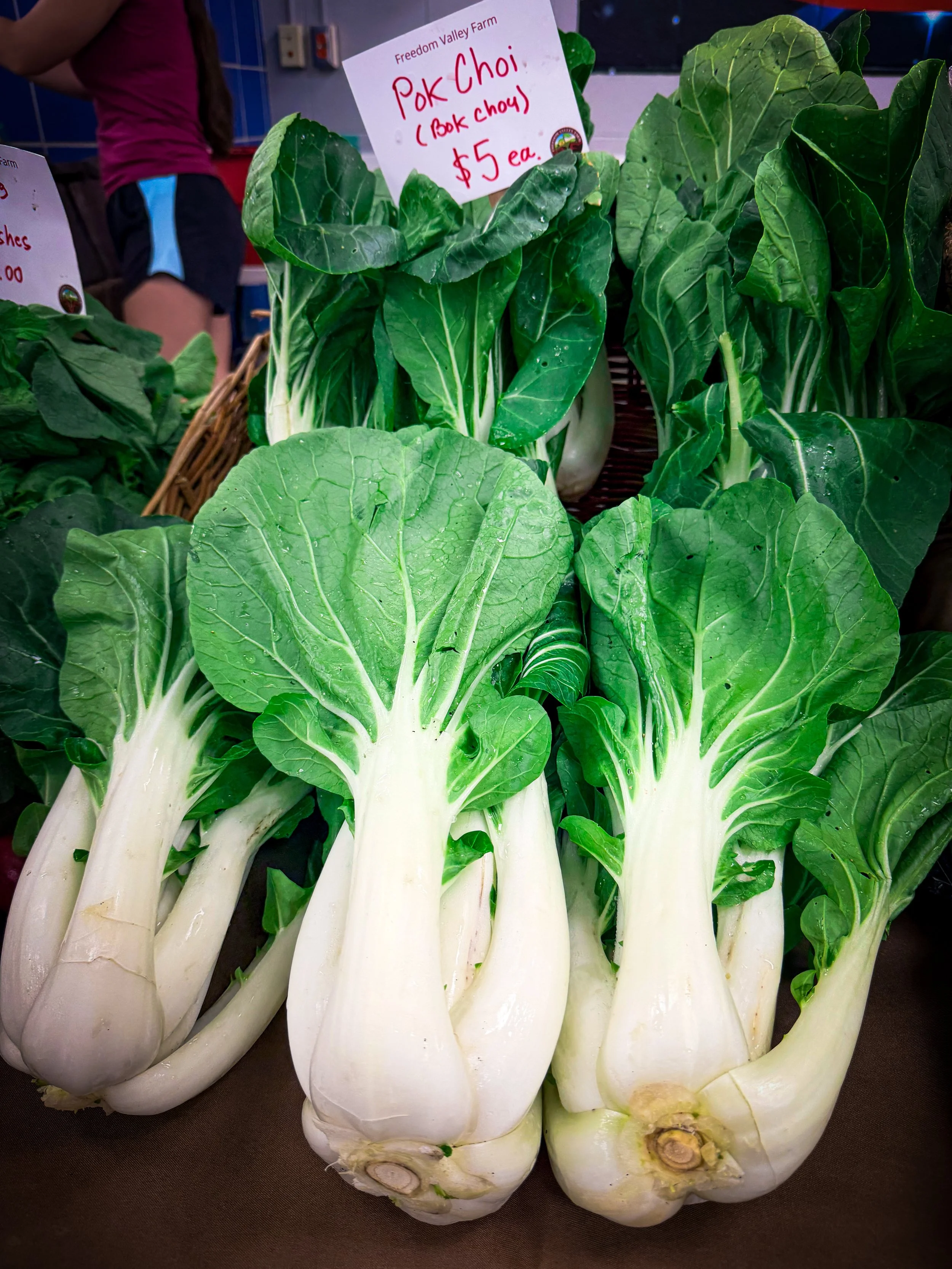 A big green bok choi/pok choi at the Broad Ripple Winter's Farmer Market April 2026