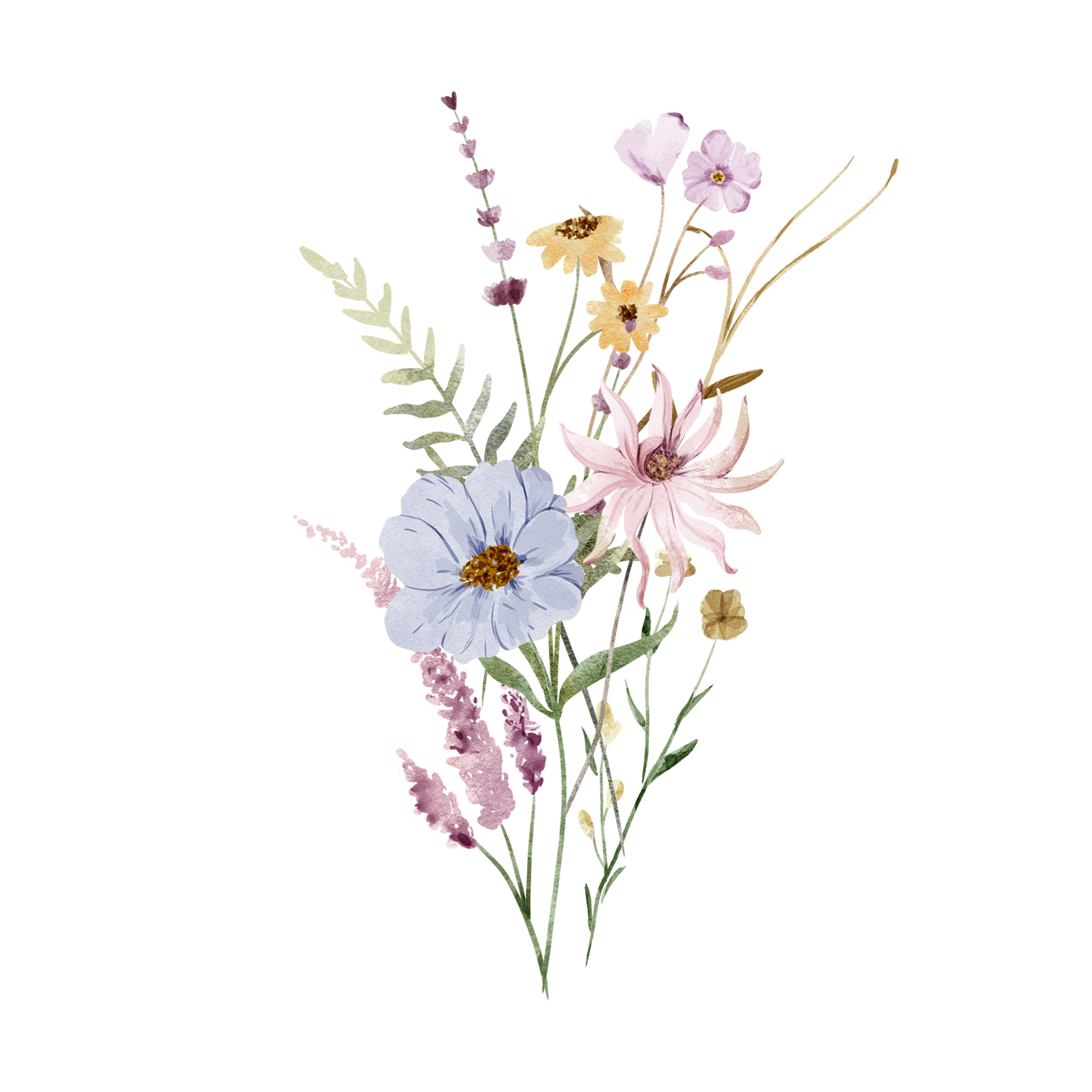 wild flowers in spring