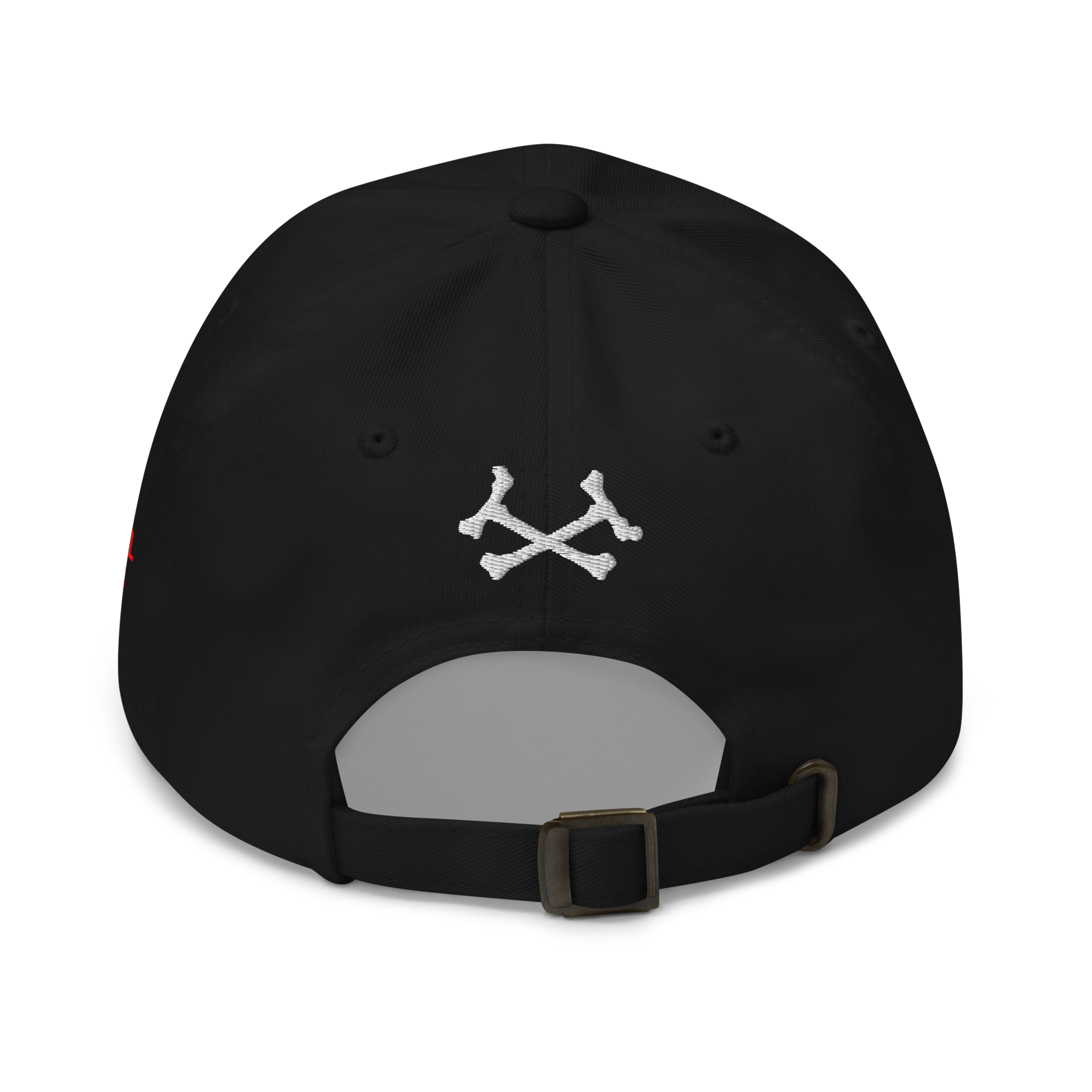 classic-dad-hat-black-back-6a0cc660b844c.png