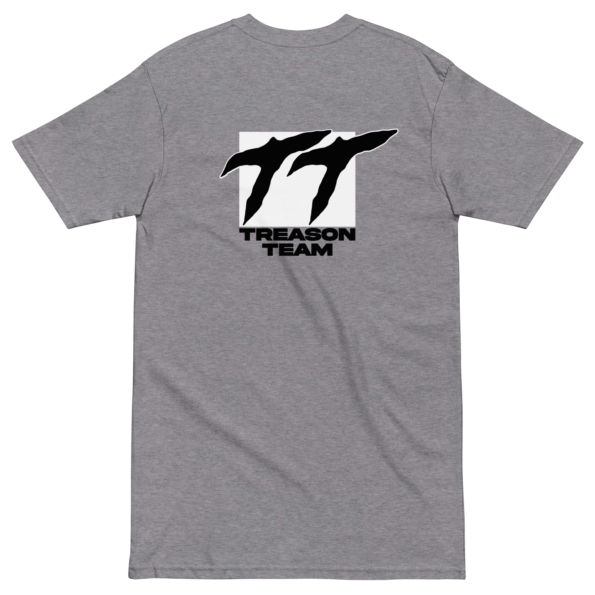 mens-premium-heavyweight-tee-carbon-grey-back-6a108c25c5680.png