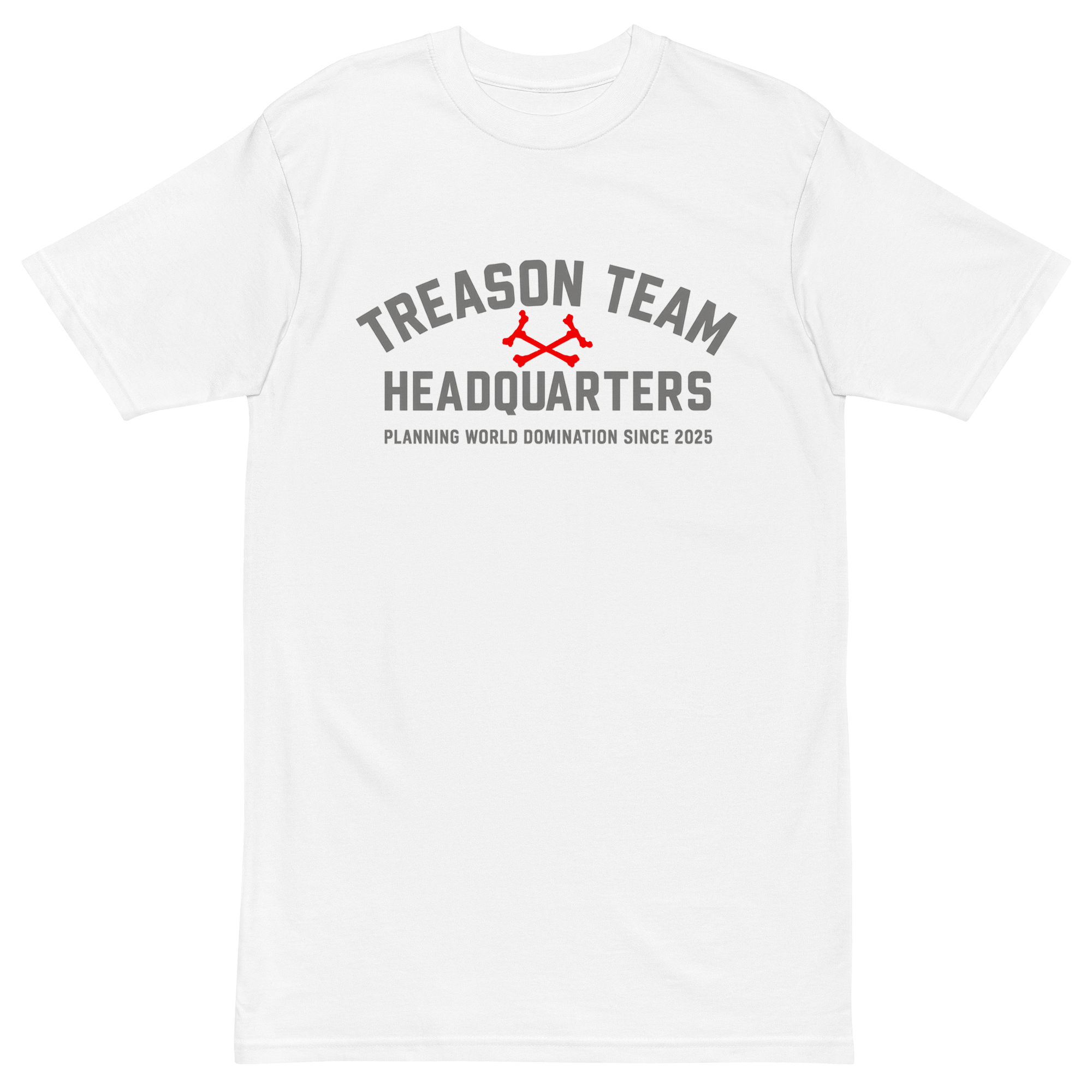 mens-premium-heavyweight-tee-white-front-6a298120ae3ed.png