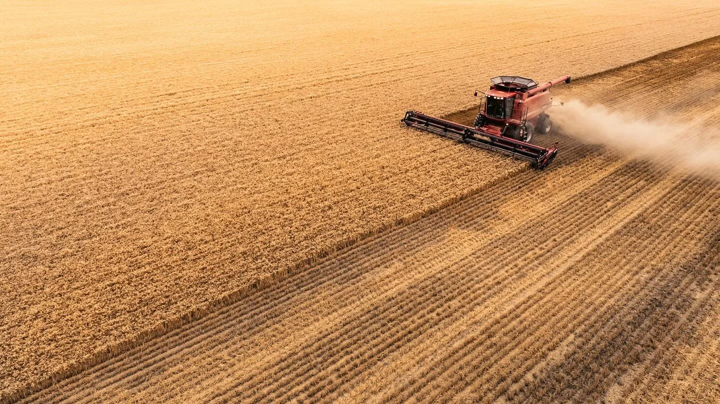 Rumbling through a sea of gold in between the rain squalls on the Montana HiLine&hellip;heading back for a few days of client work this week now that the weather is seemingly cooperating 😂  #farming #food #agriculture #montana #wheat #photography